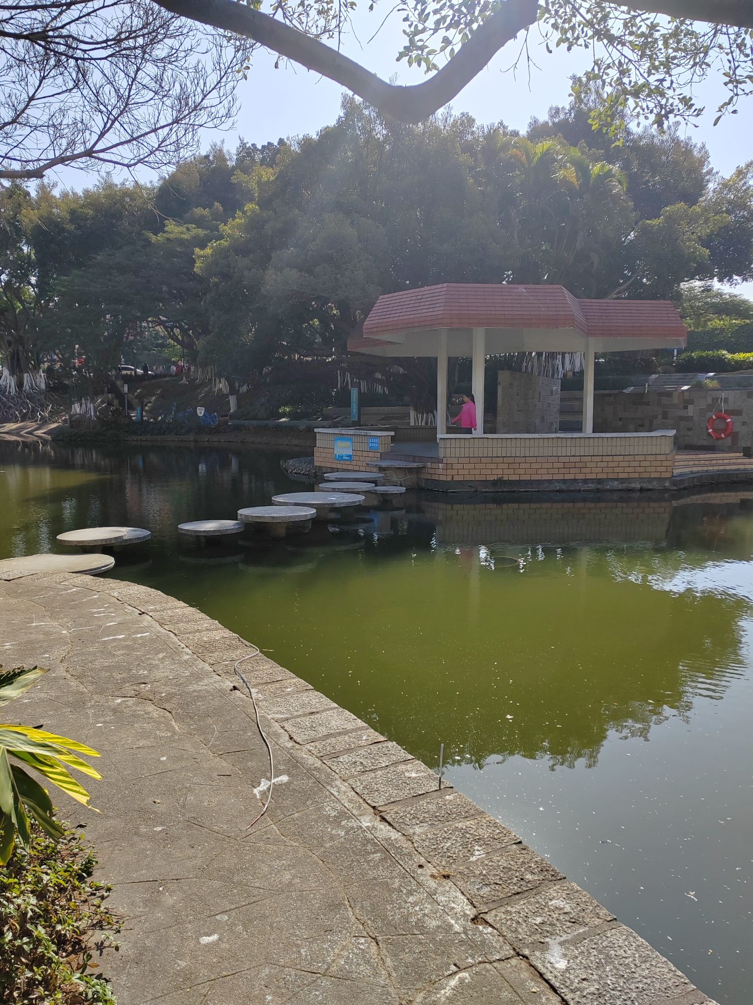 莲花公园旅行图片 2