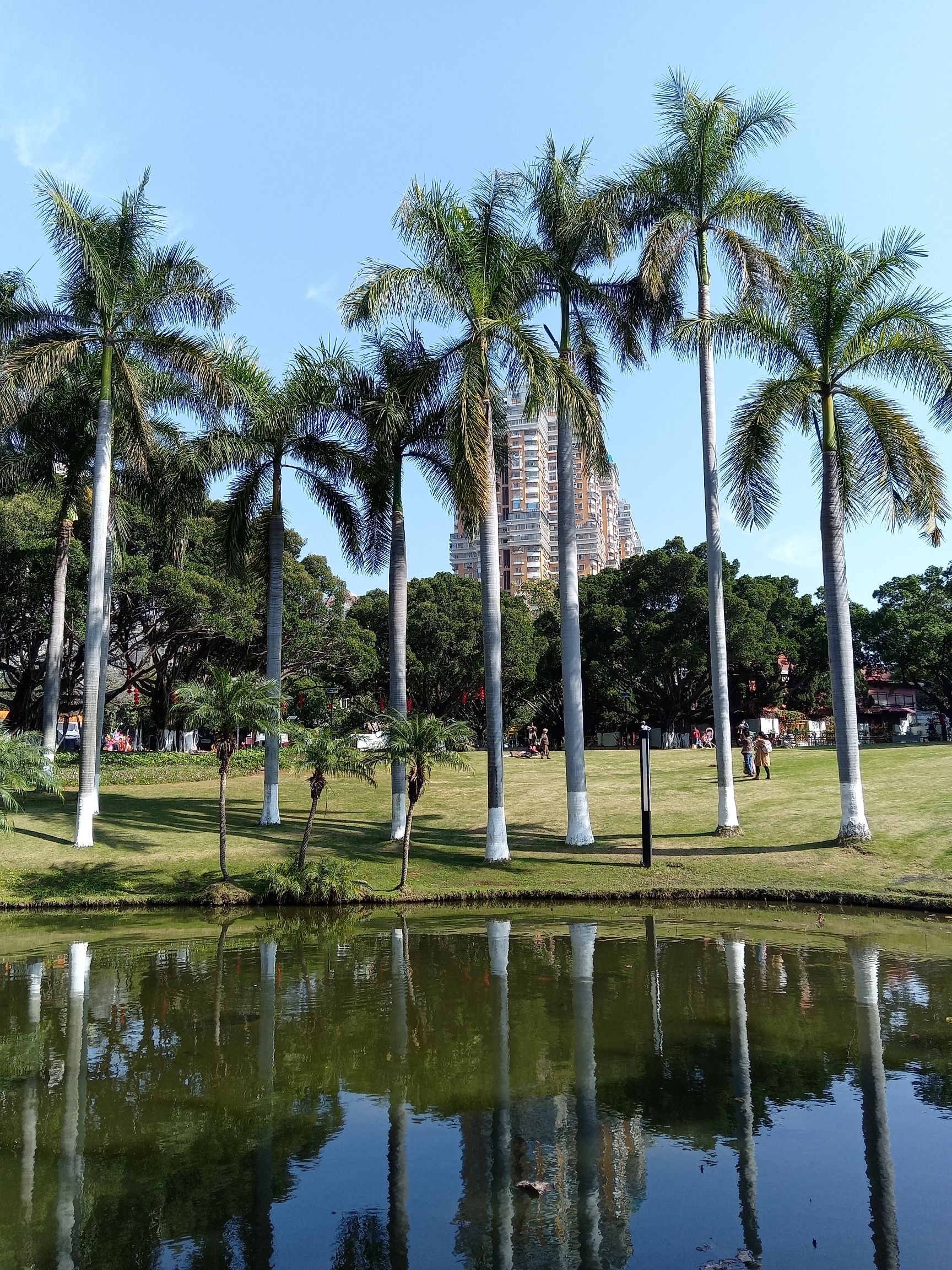 莲花公园旅行图片 1
