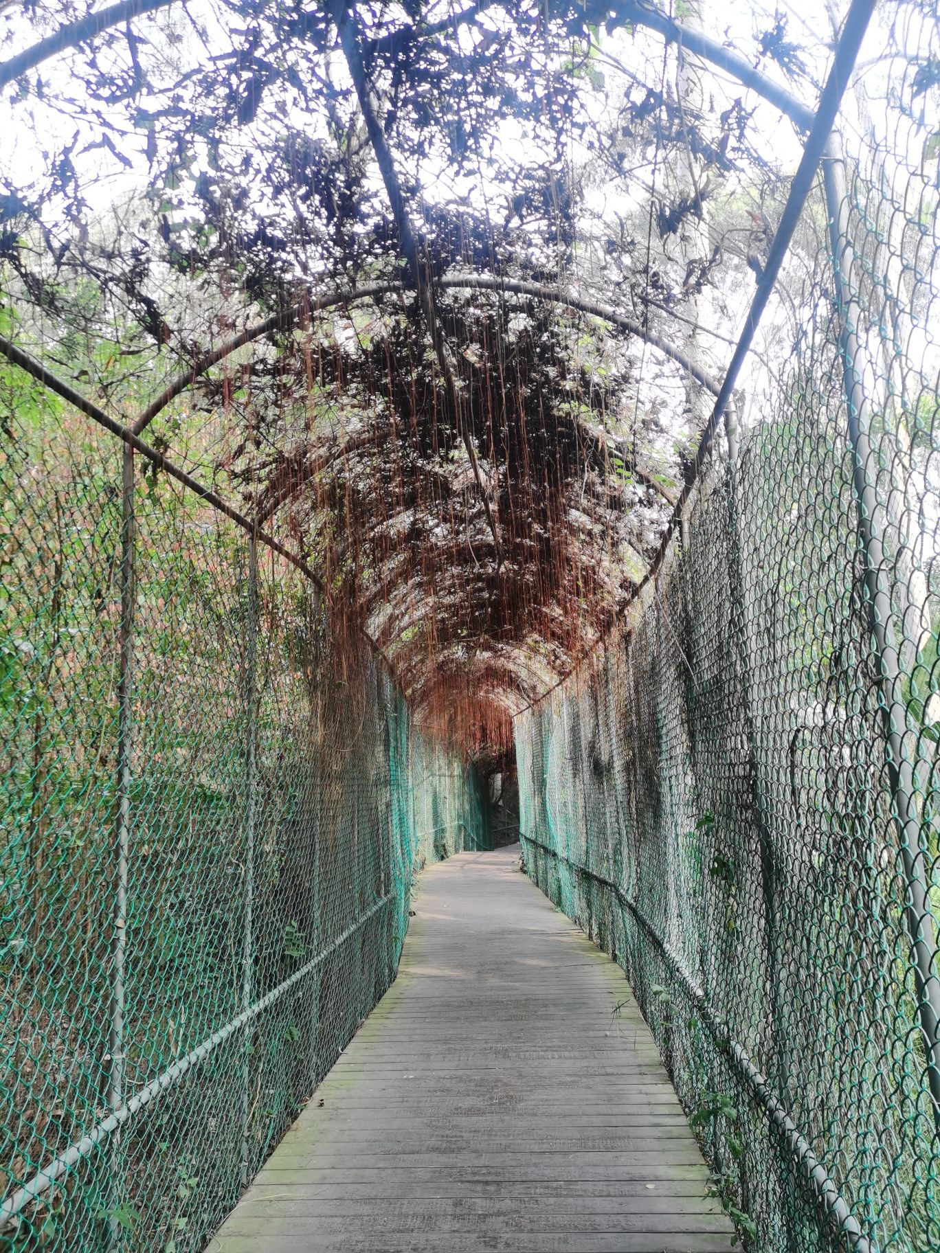 忠仑公园旅行图片 2