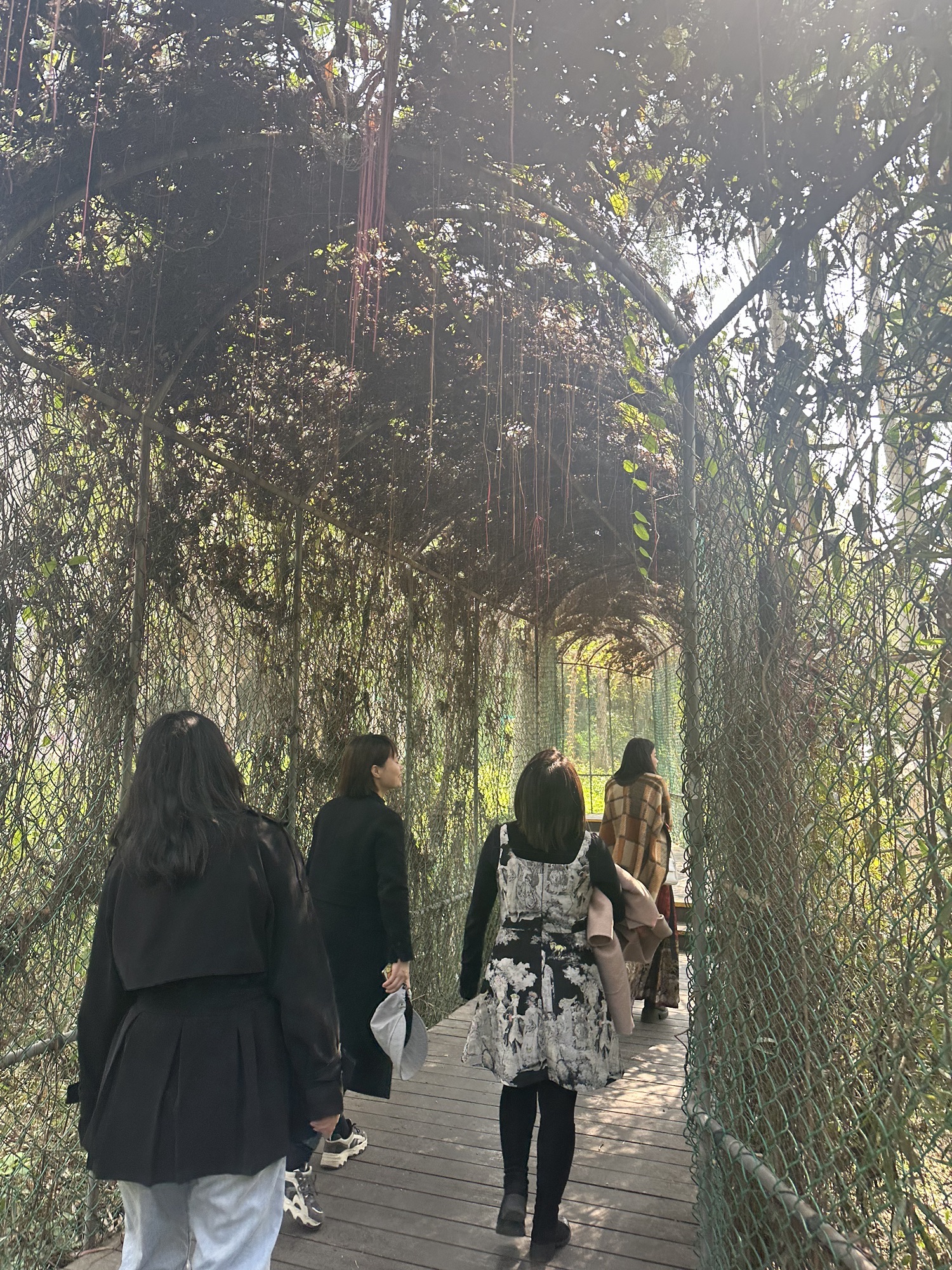 忠仑公园旅行图片 3