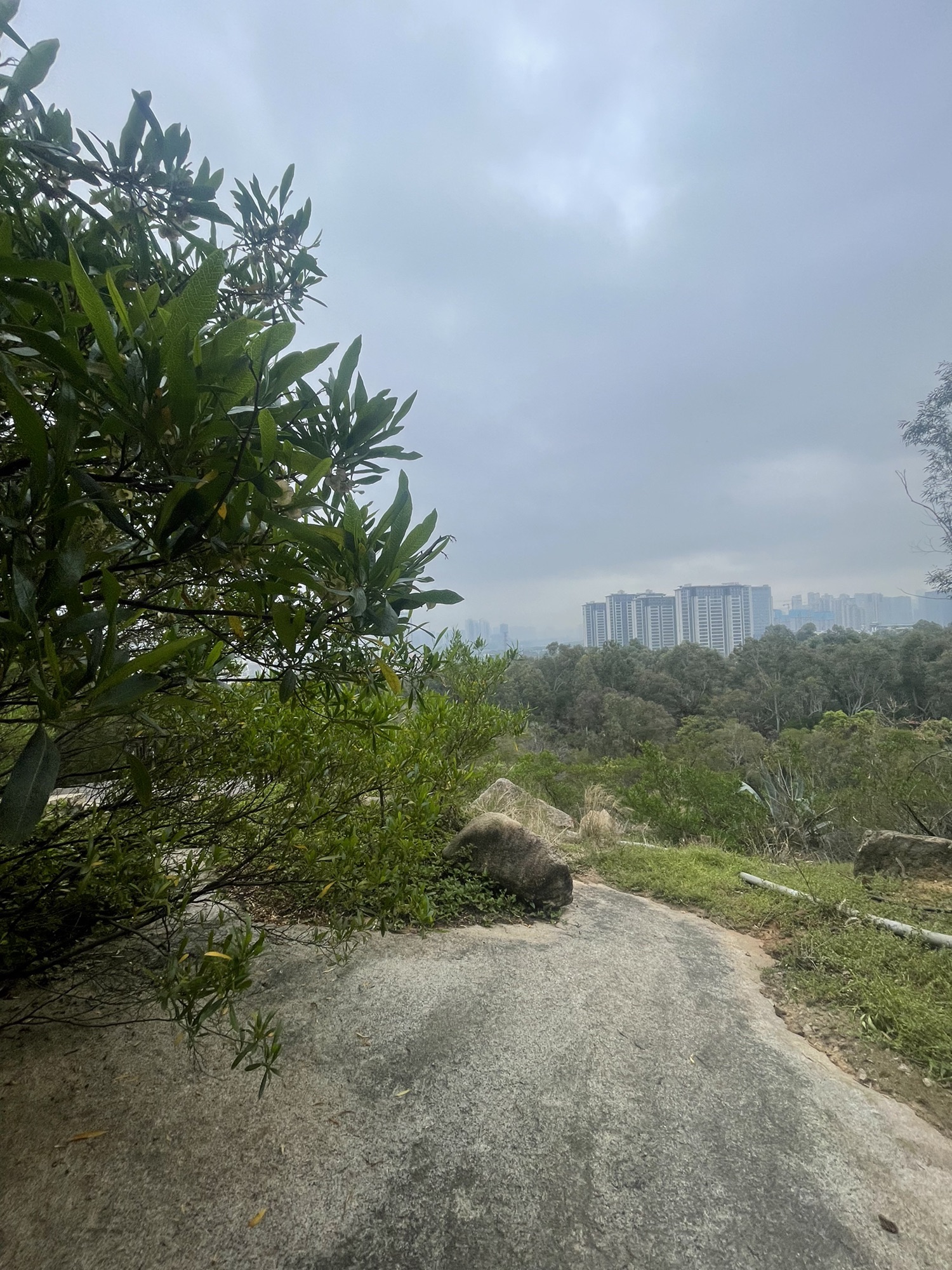 忠仑公园旅行图片 2