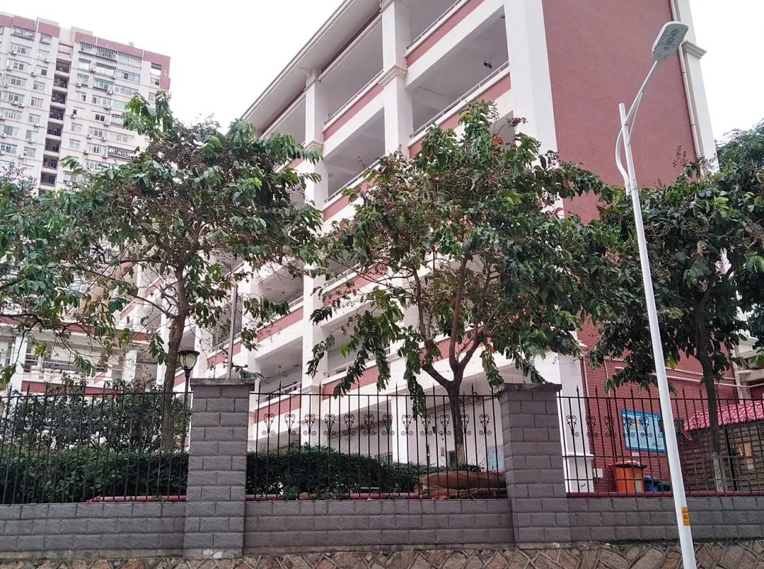 厦门市江头中心小学