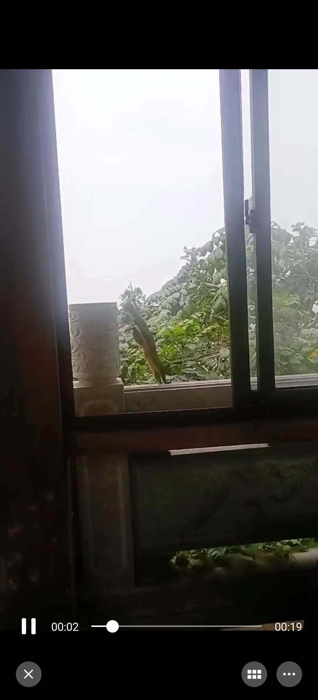 仙岳公园旅行图片 3