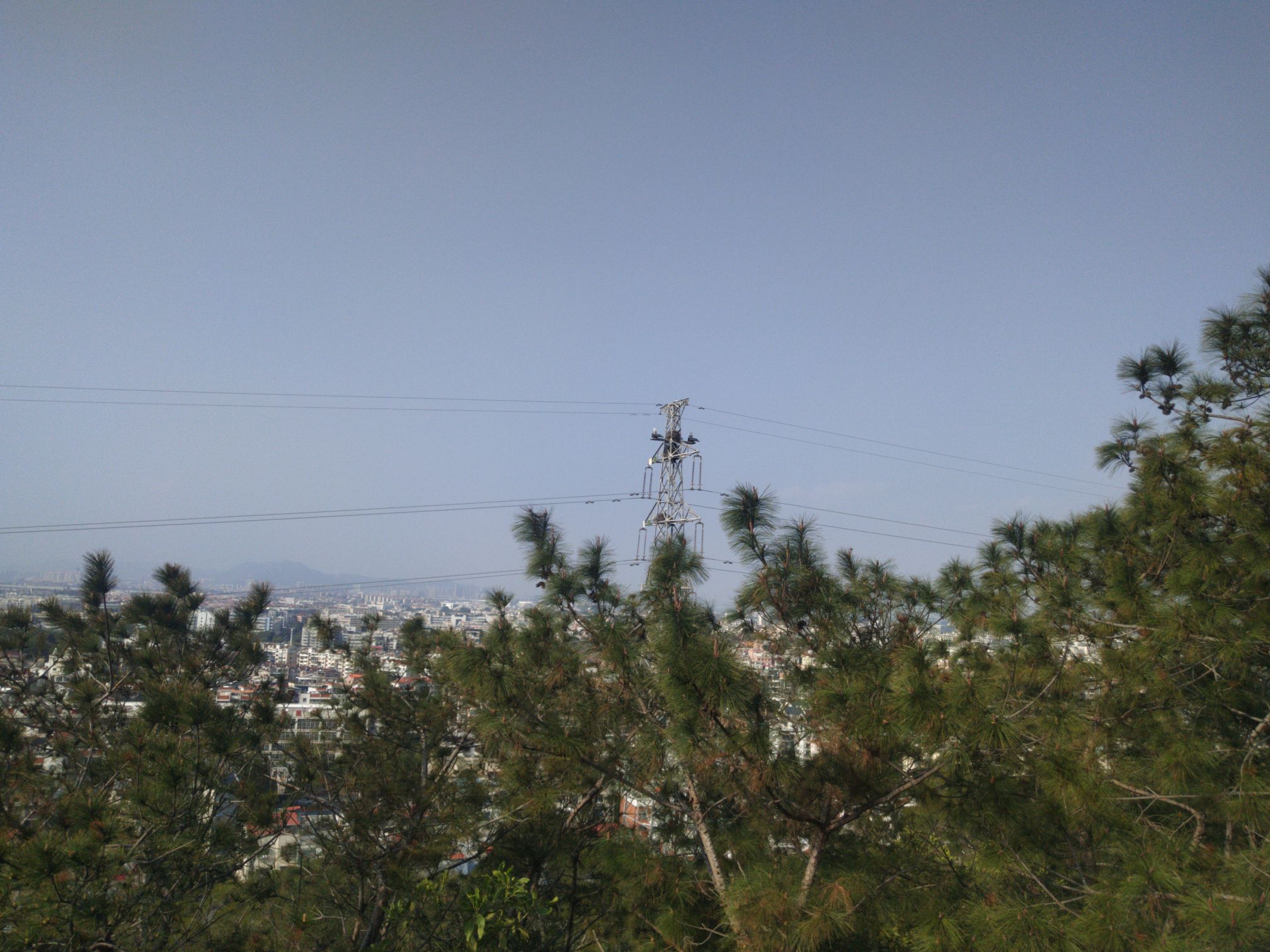 仙岳公园旅行图片 2