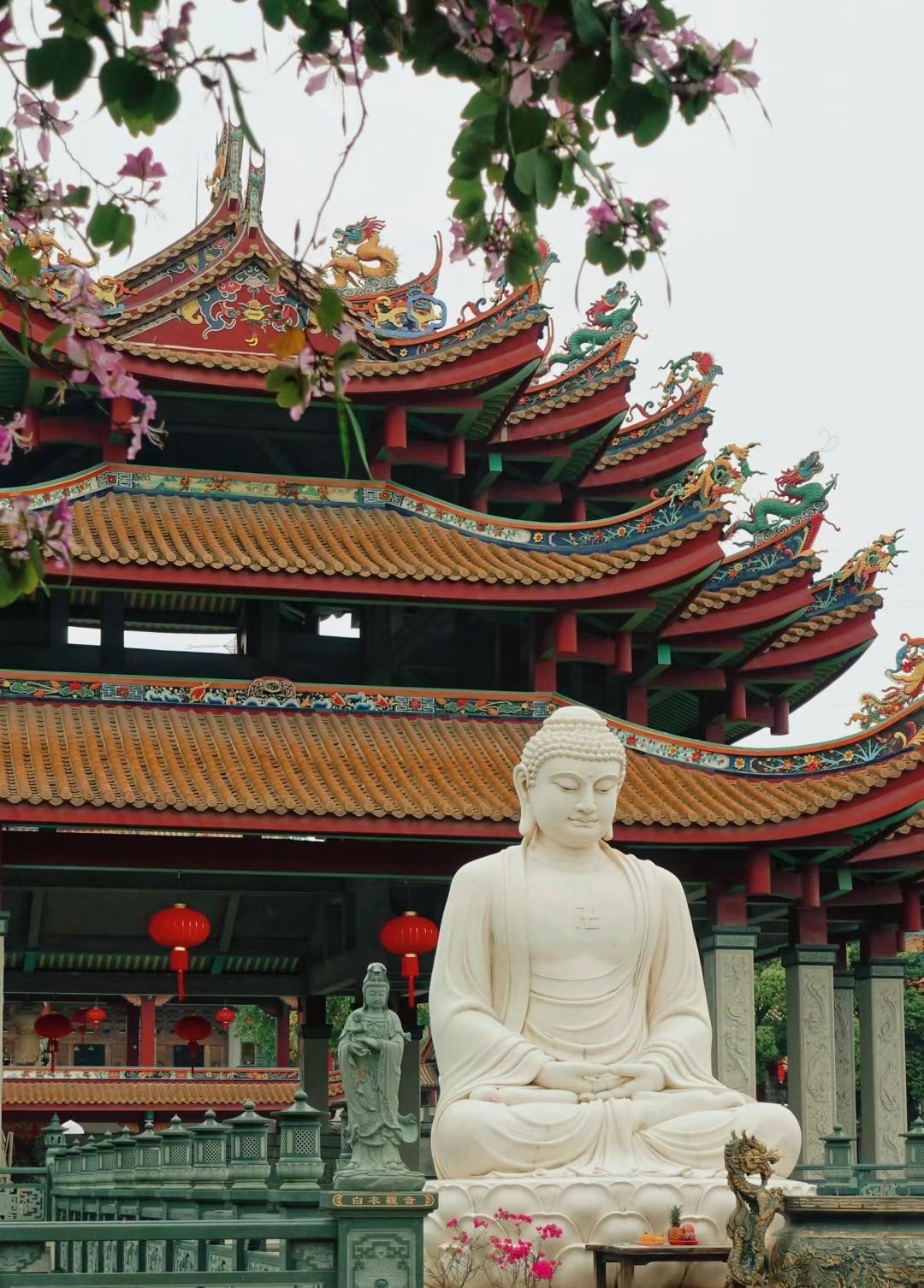 仙岳公园旅行图片 3