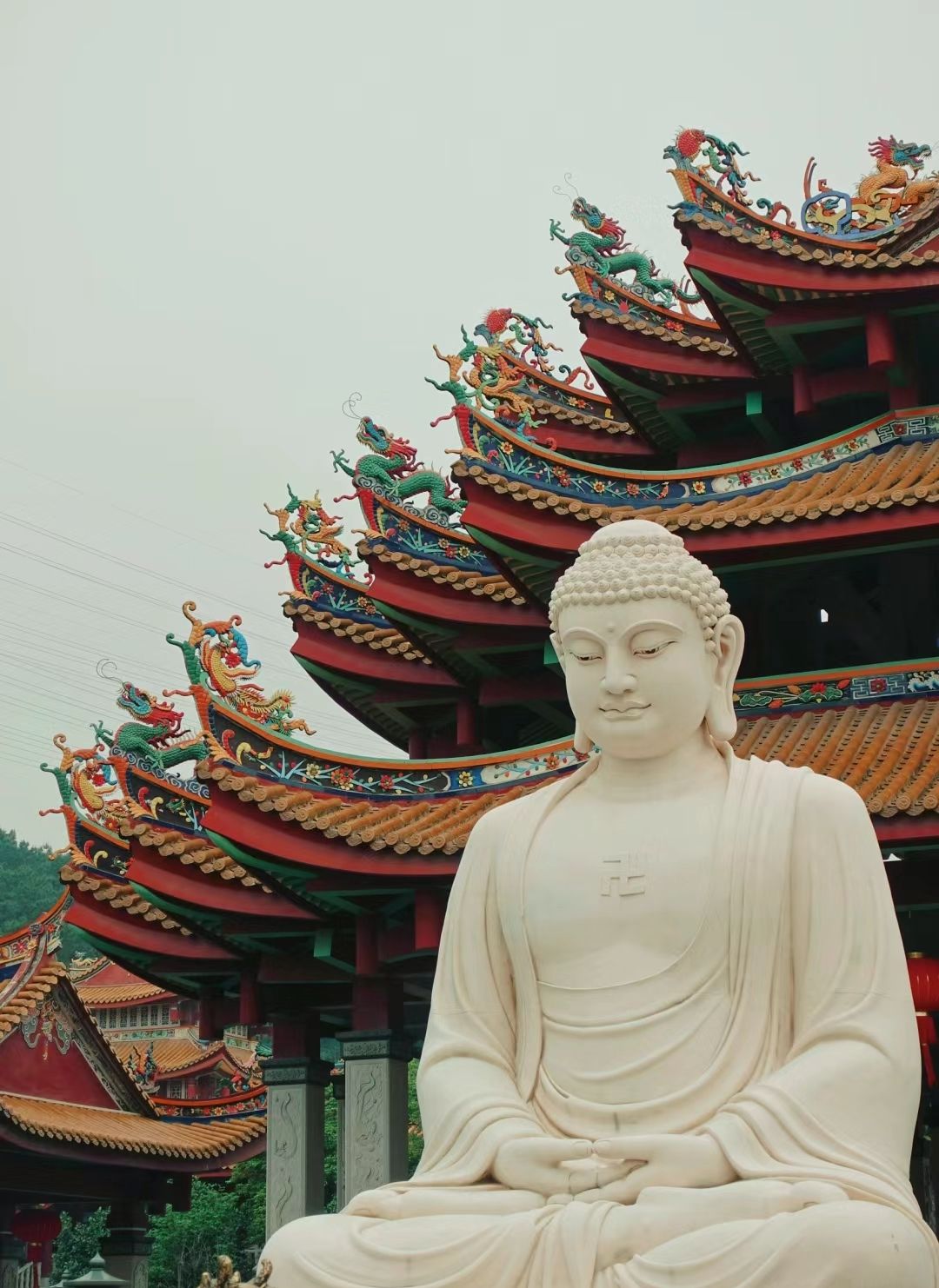 仙岳公园旅行图片 2