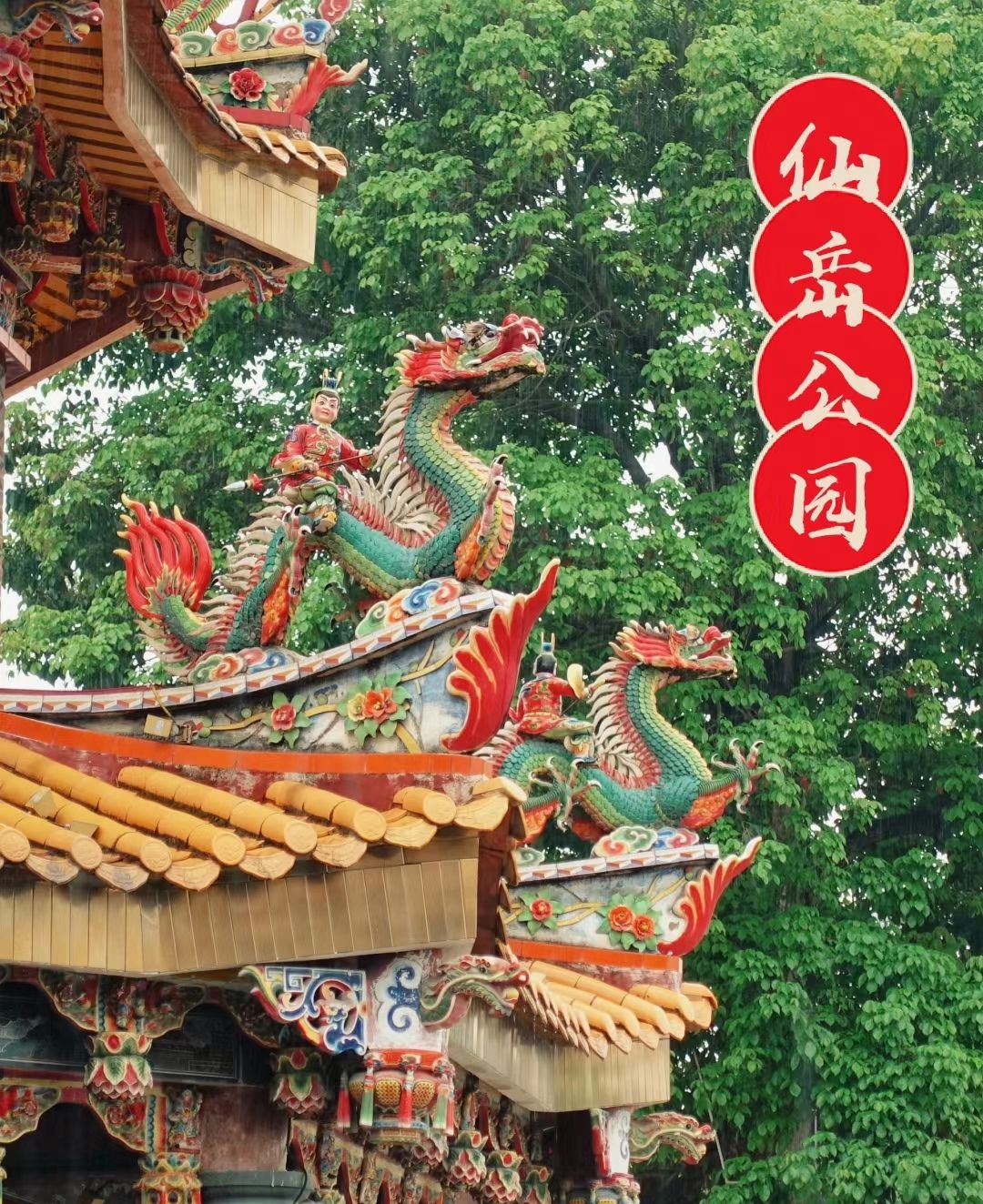 仙岳公园旅行图片 1