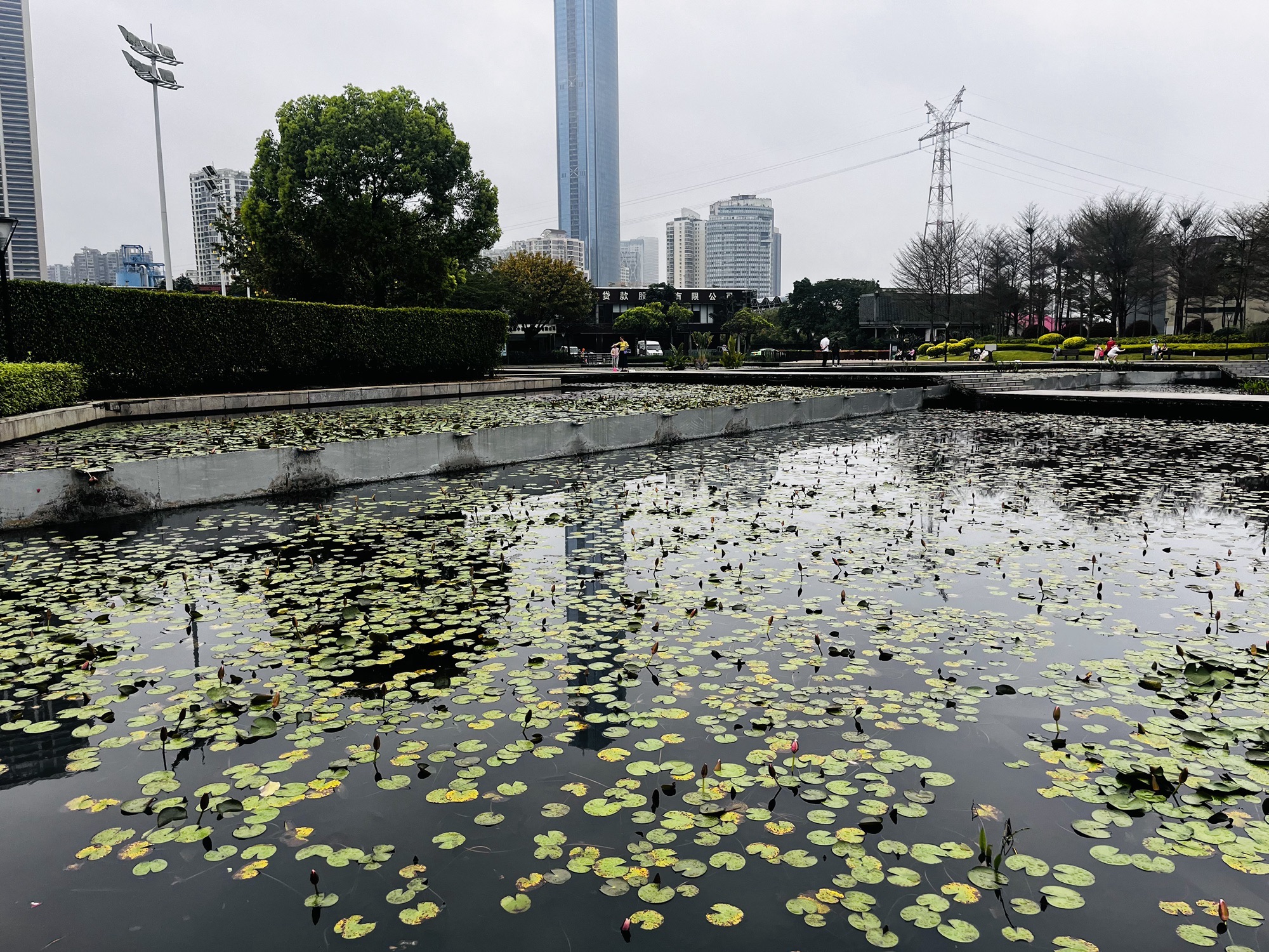 海湾公园旅行图片 3