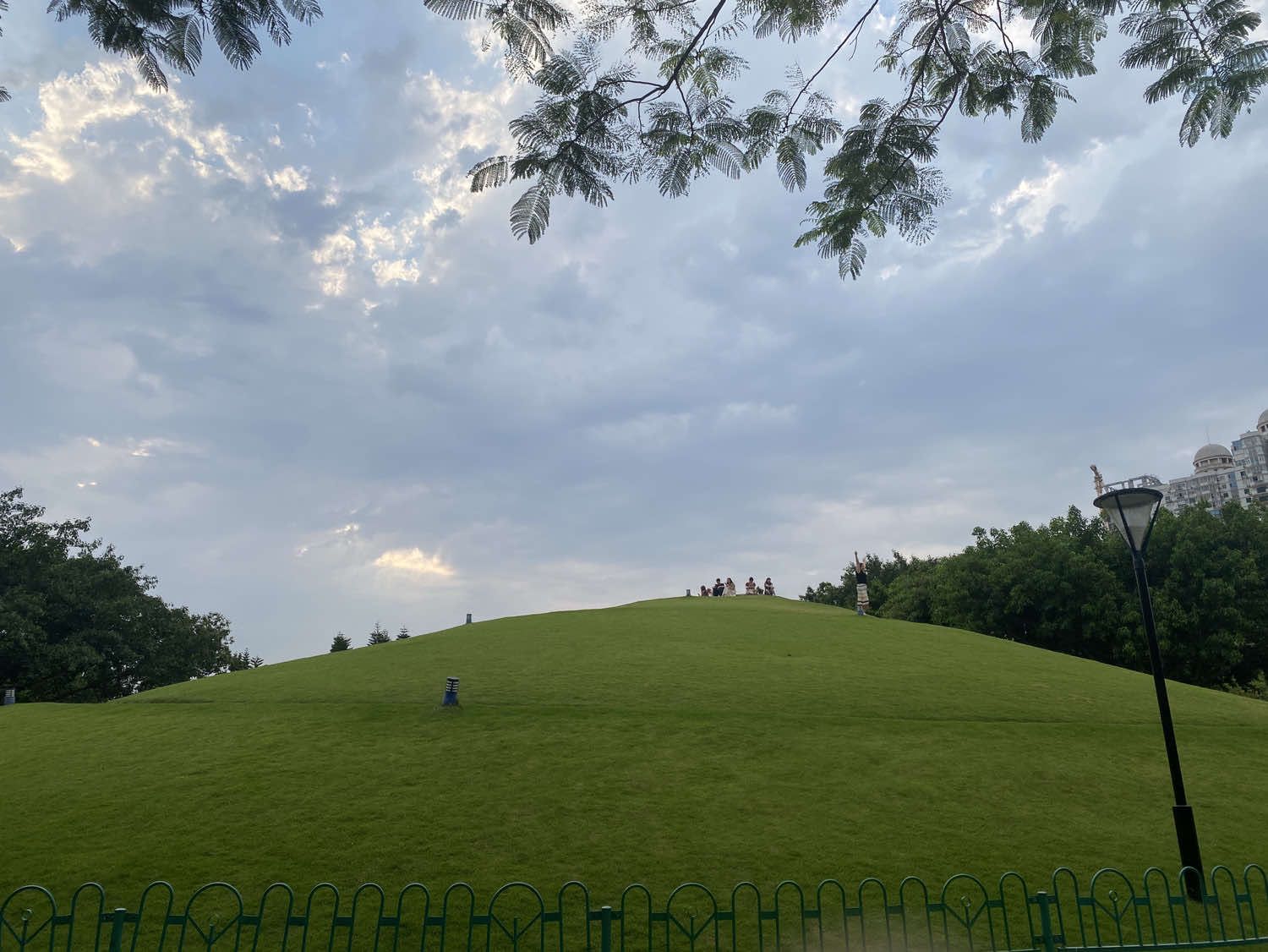 海湾公园旅行图片 1