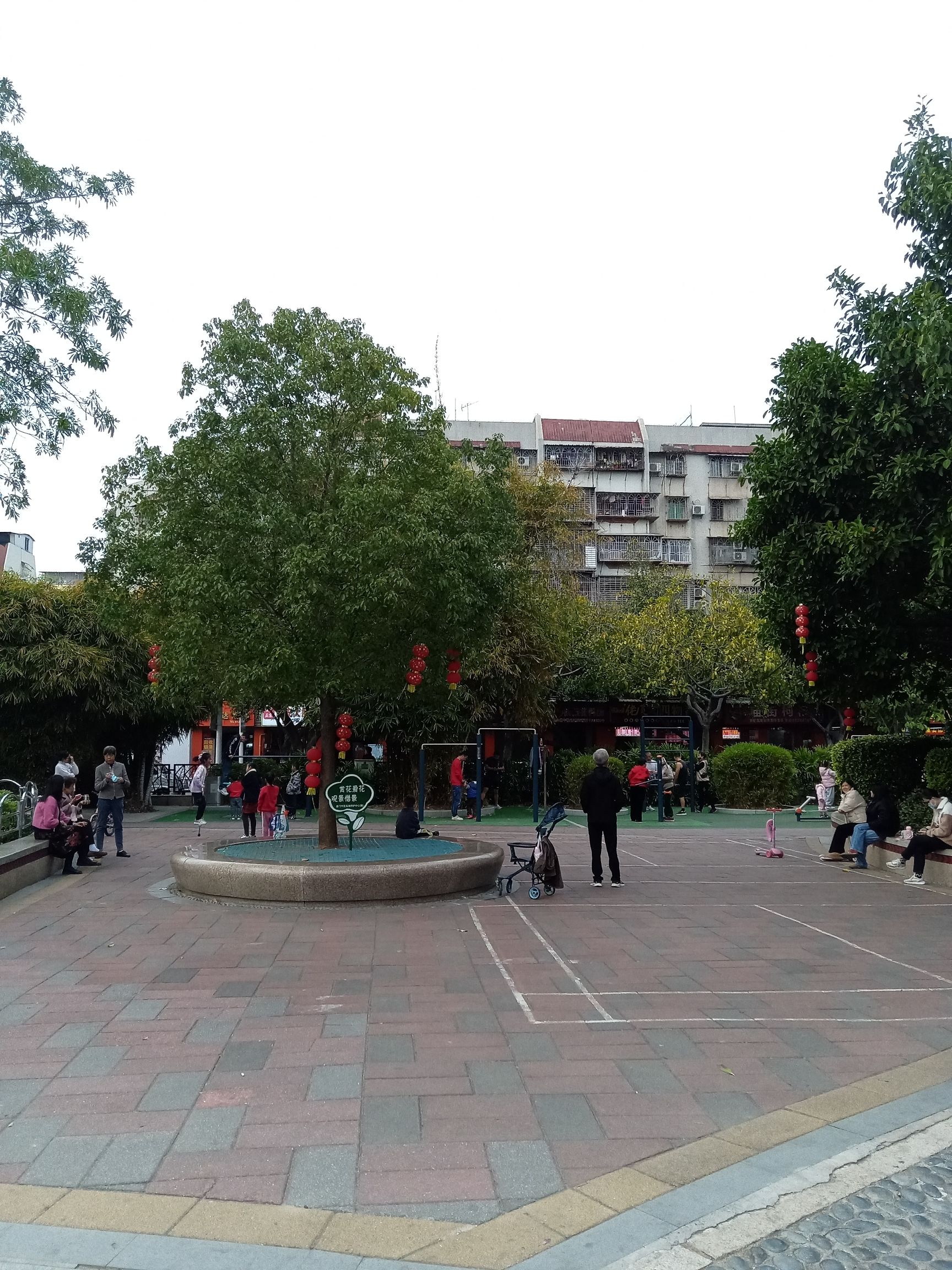 松柏公园旅行图片 3