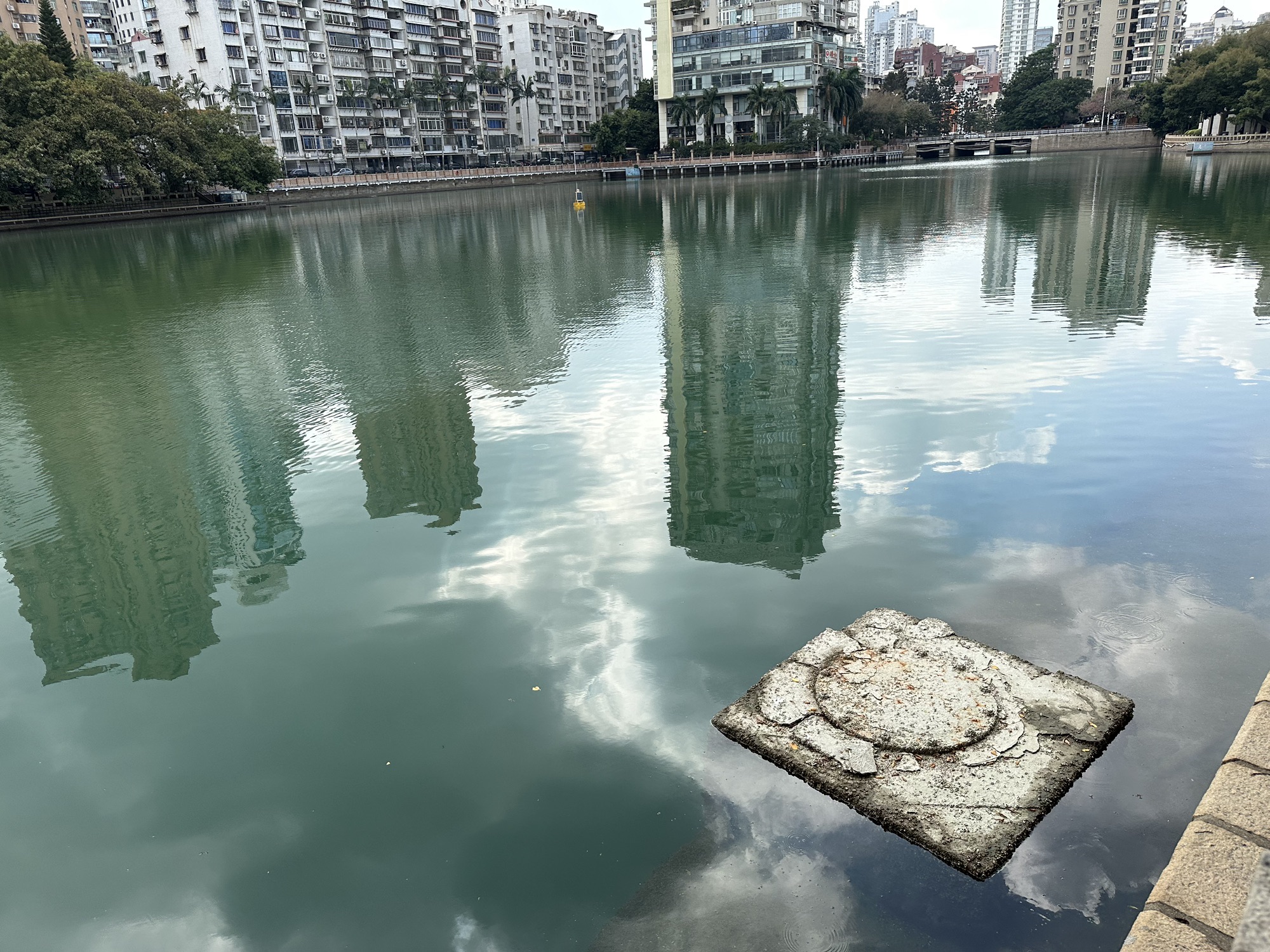 松柏公园旅行图片 3