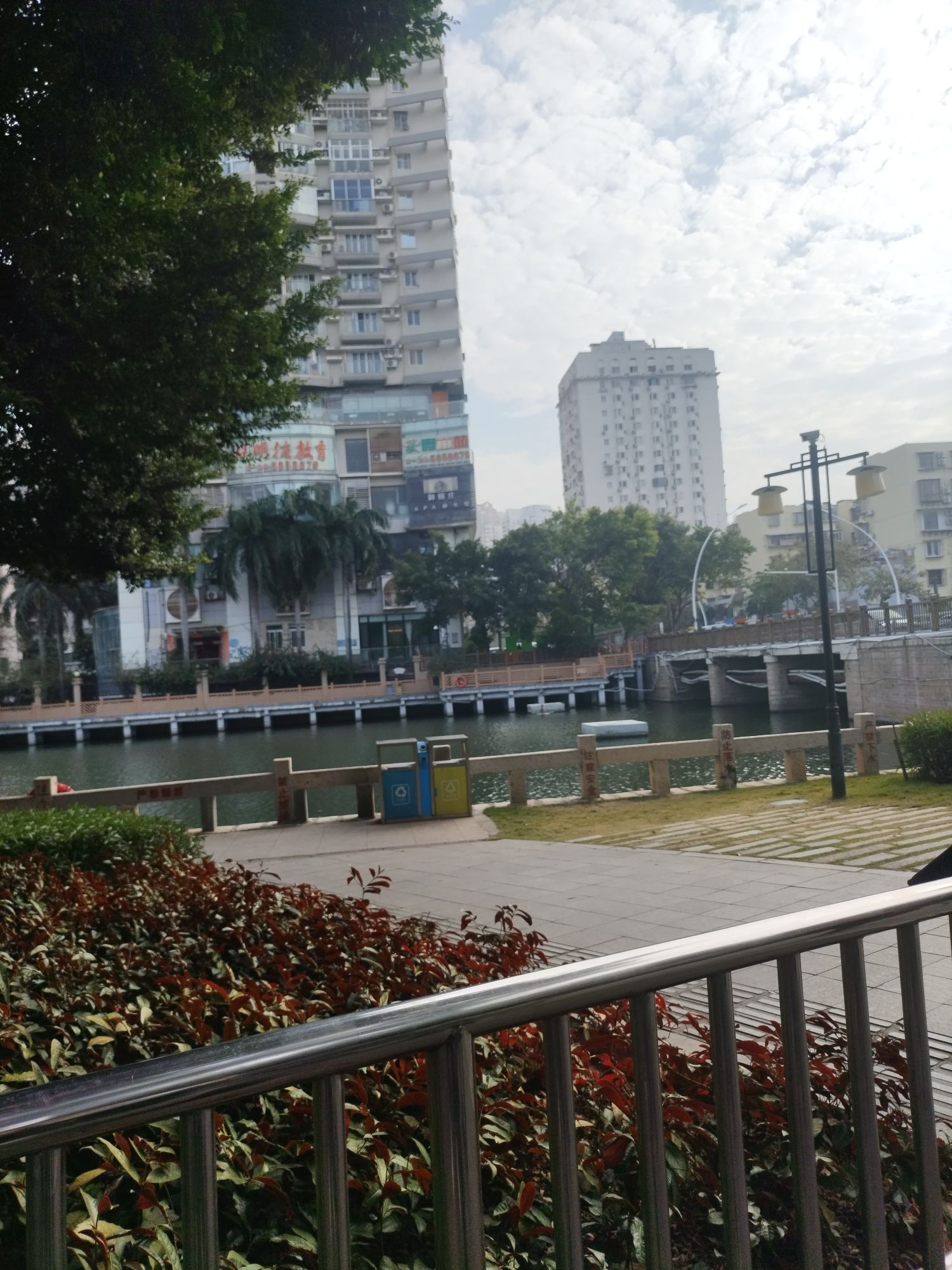 松柏公园旅行图片 2