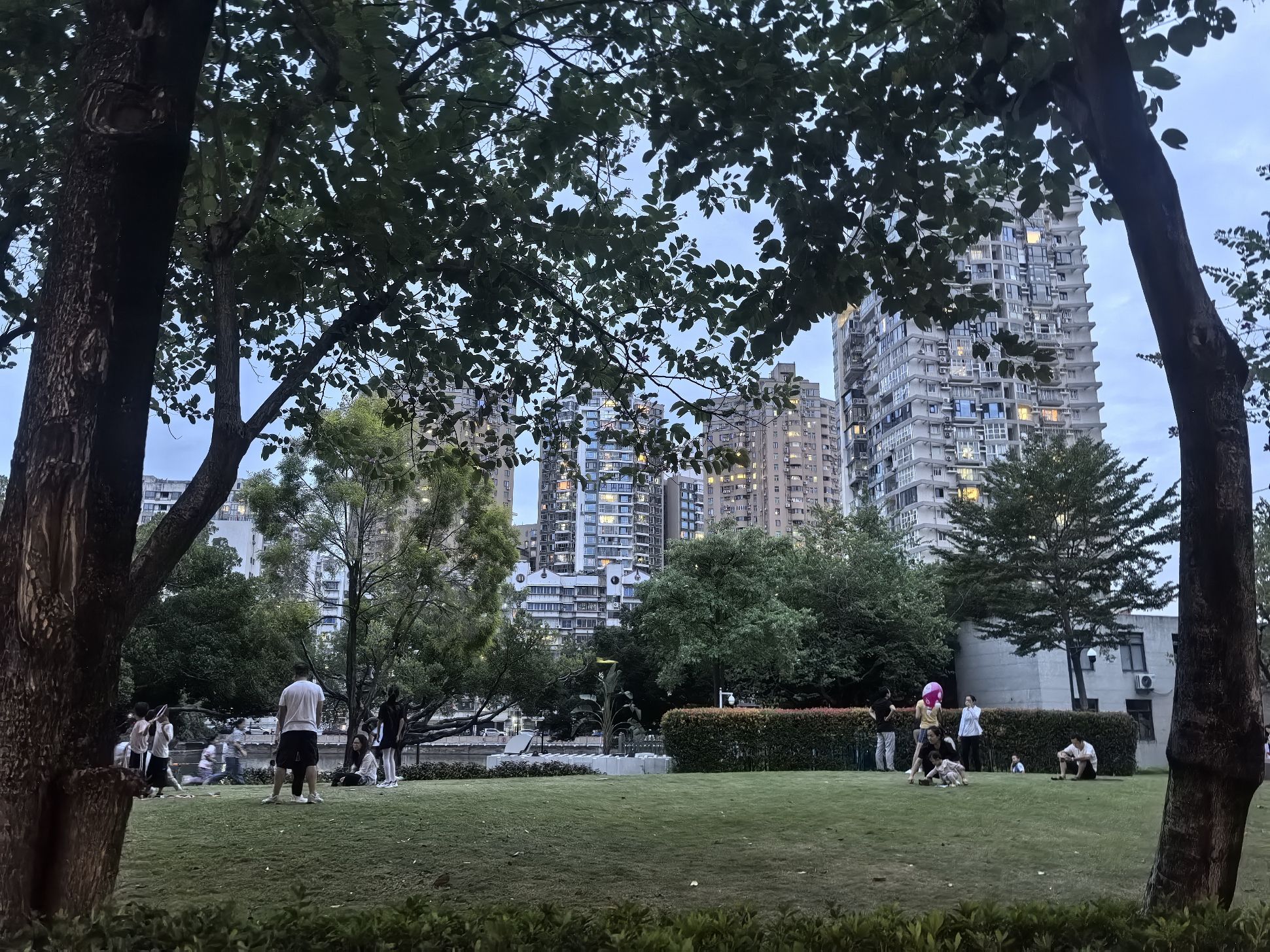 松柏公园旅行图片 3