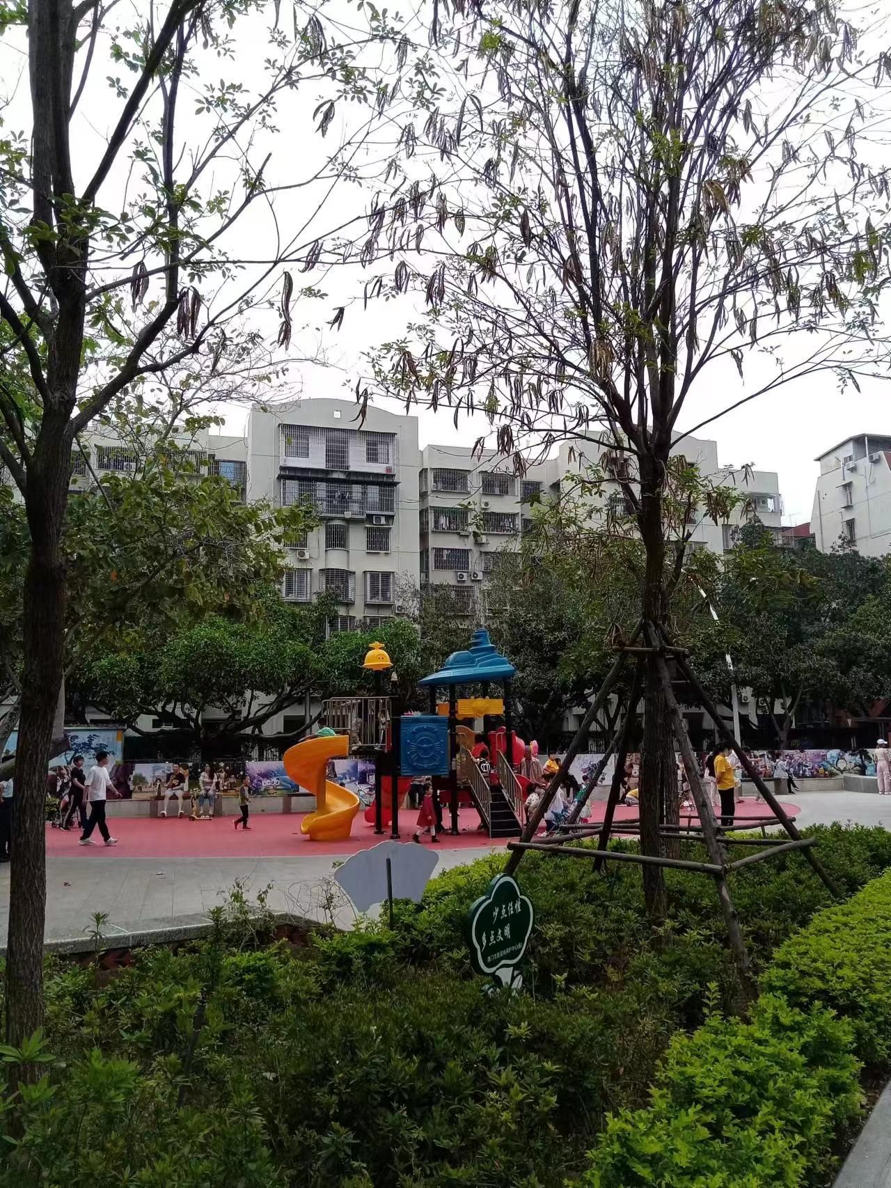 松柏公园旅行图片 3