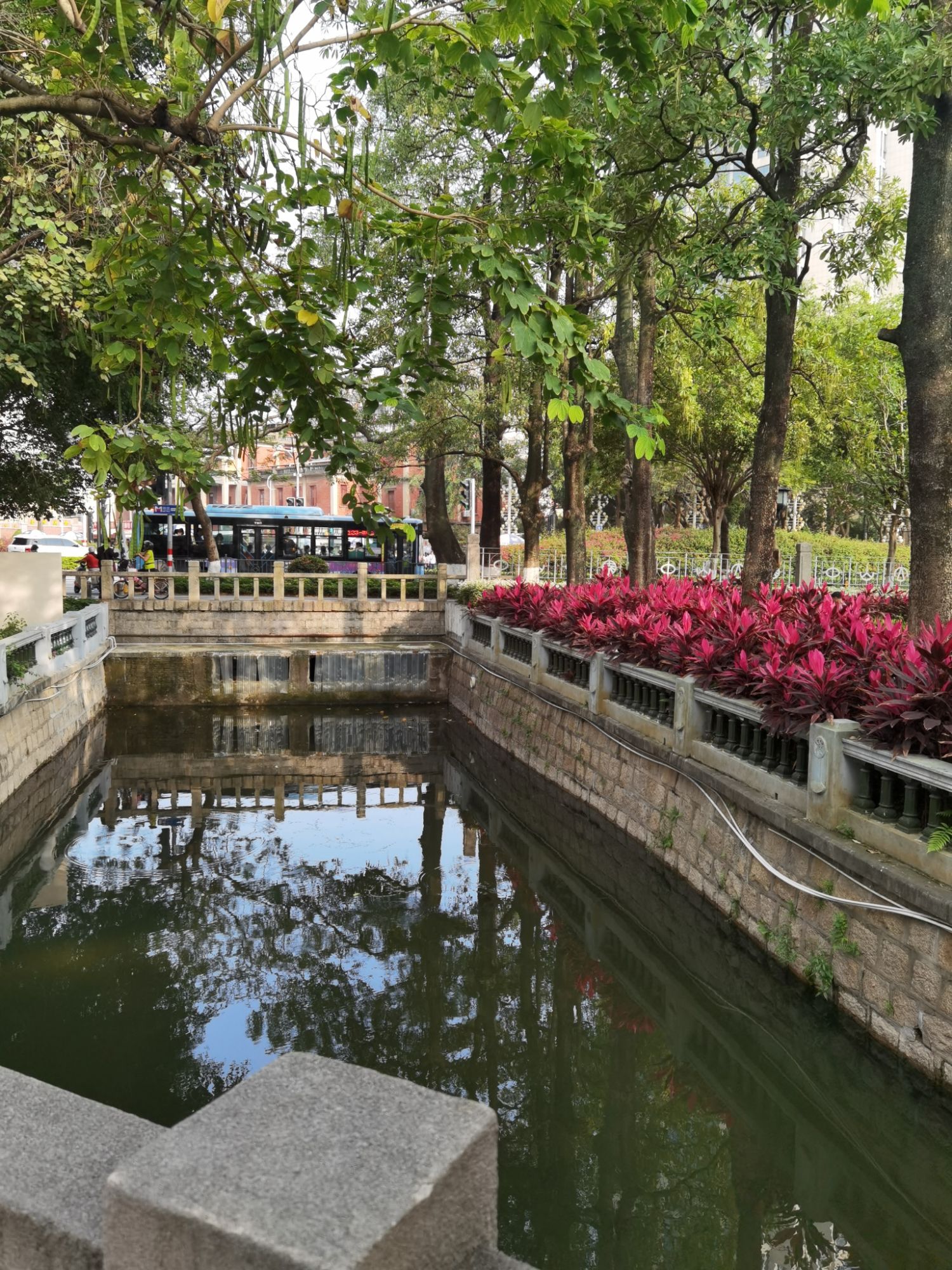 中山公园旅行图片 2