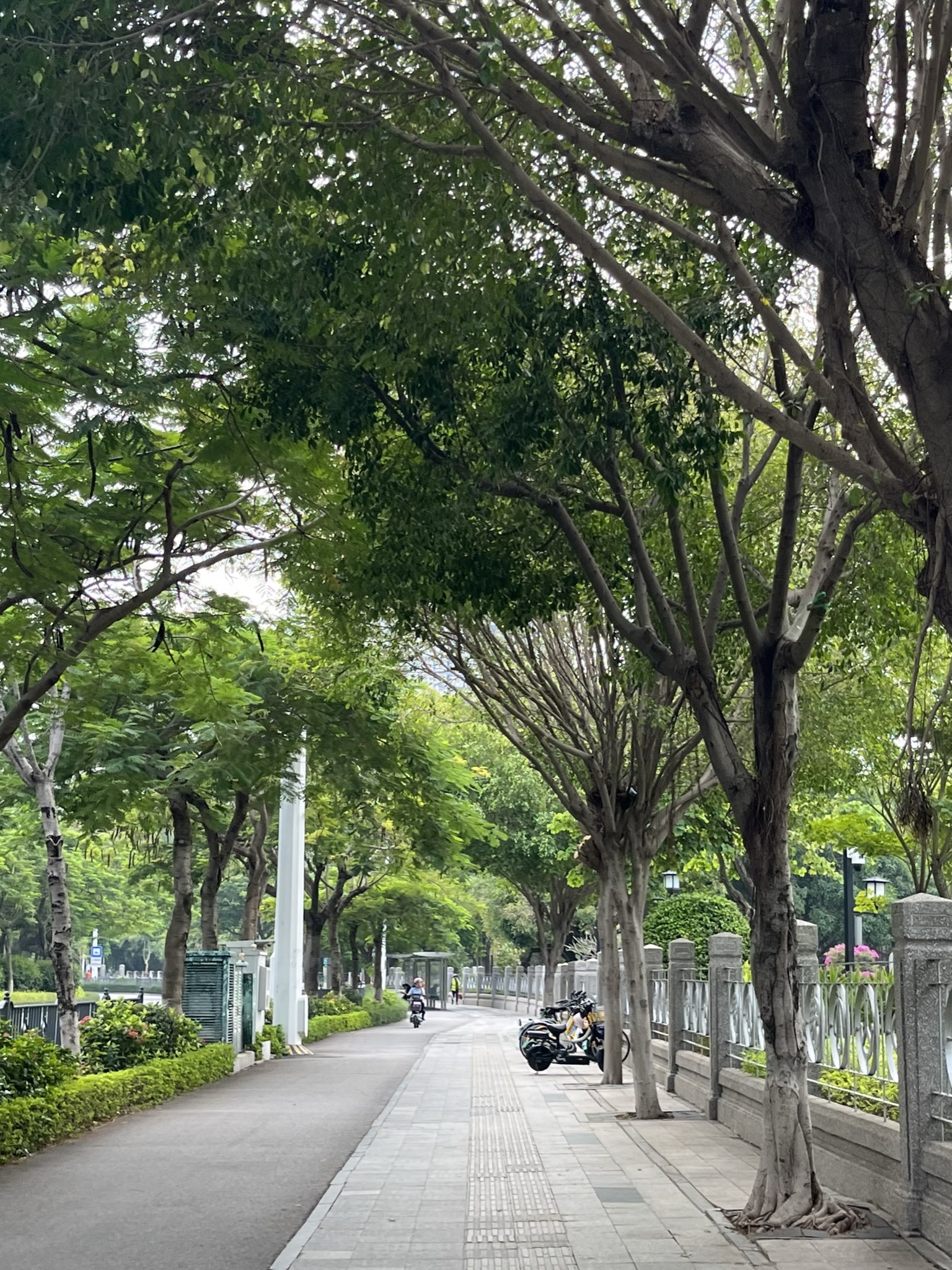 中山公园旅行图片 3