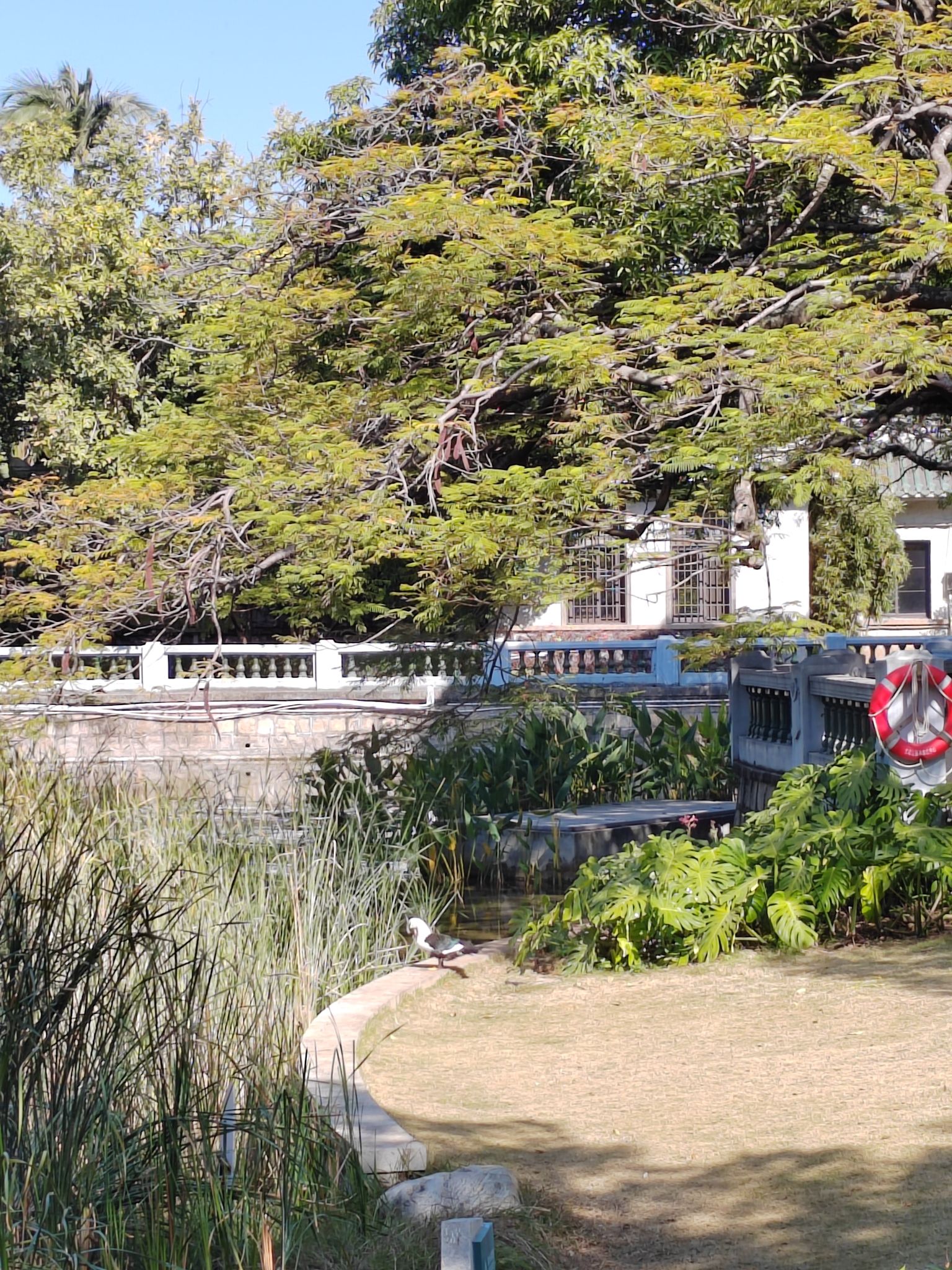 中山公园旅行图片 3