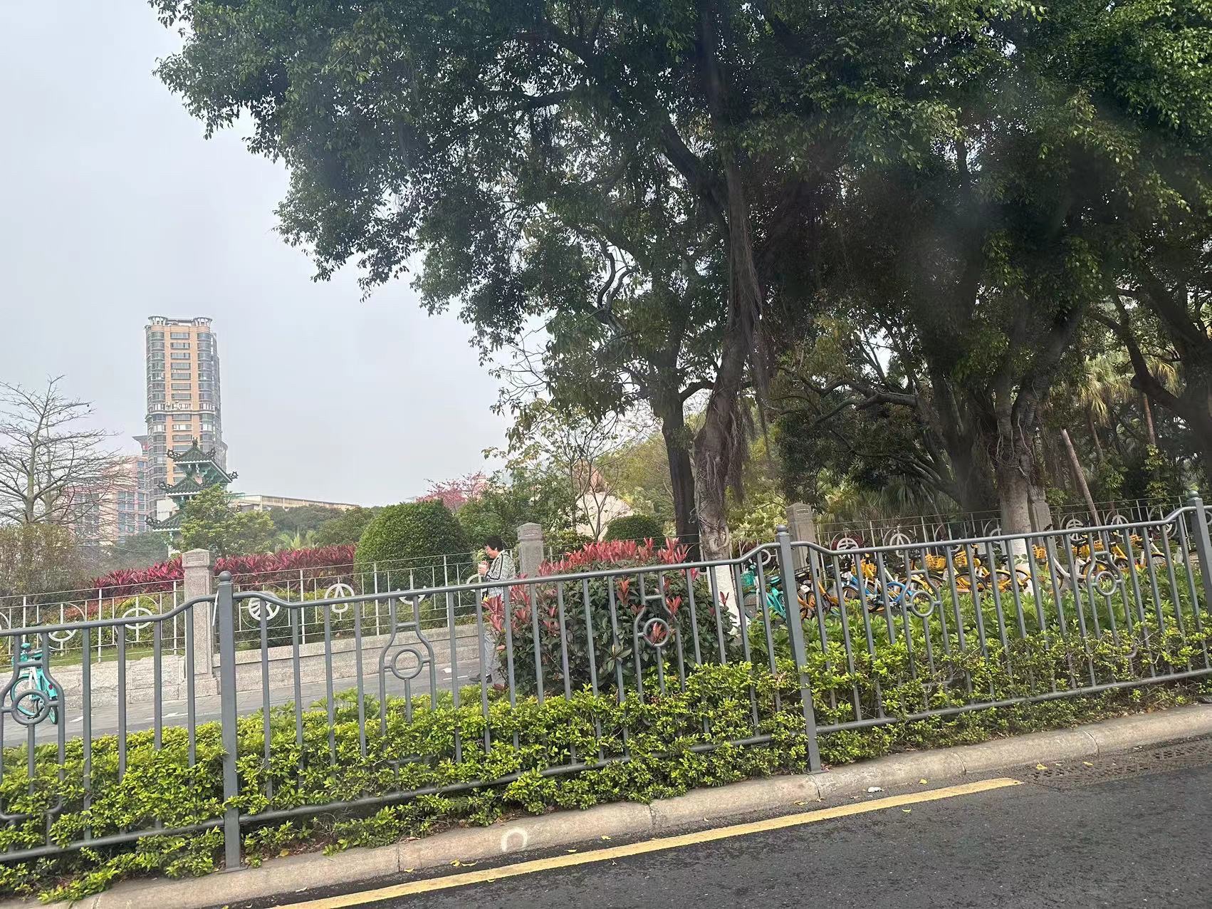 中山公园旅行图片 2