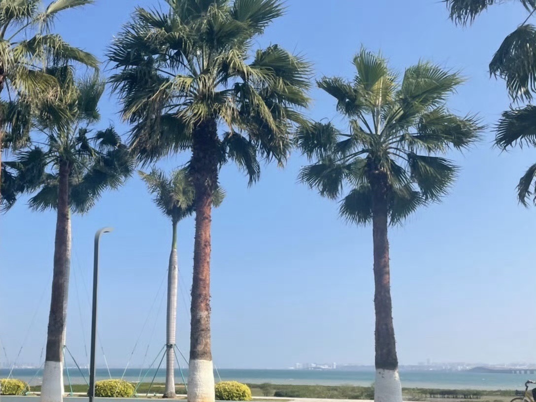 野山谷景区旅行图片 3