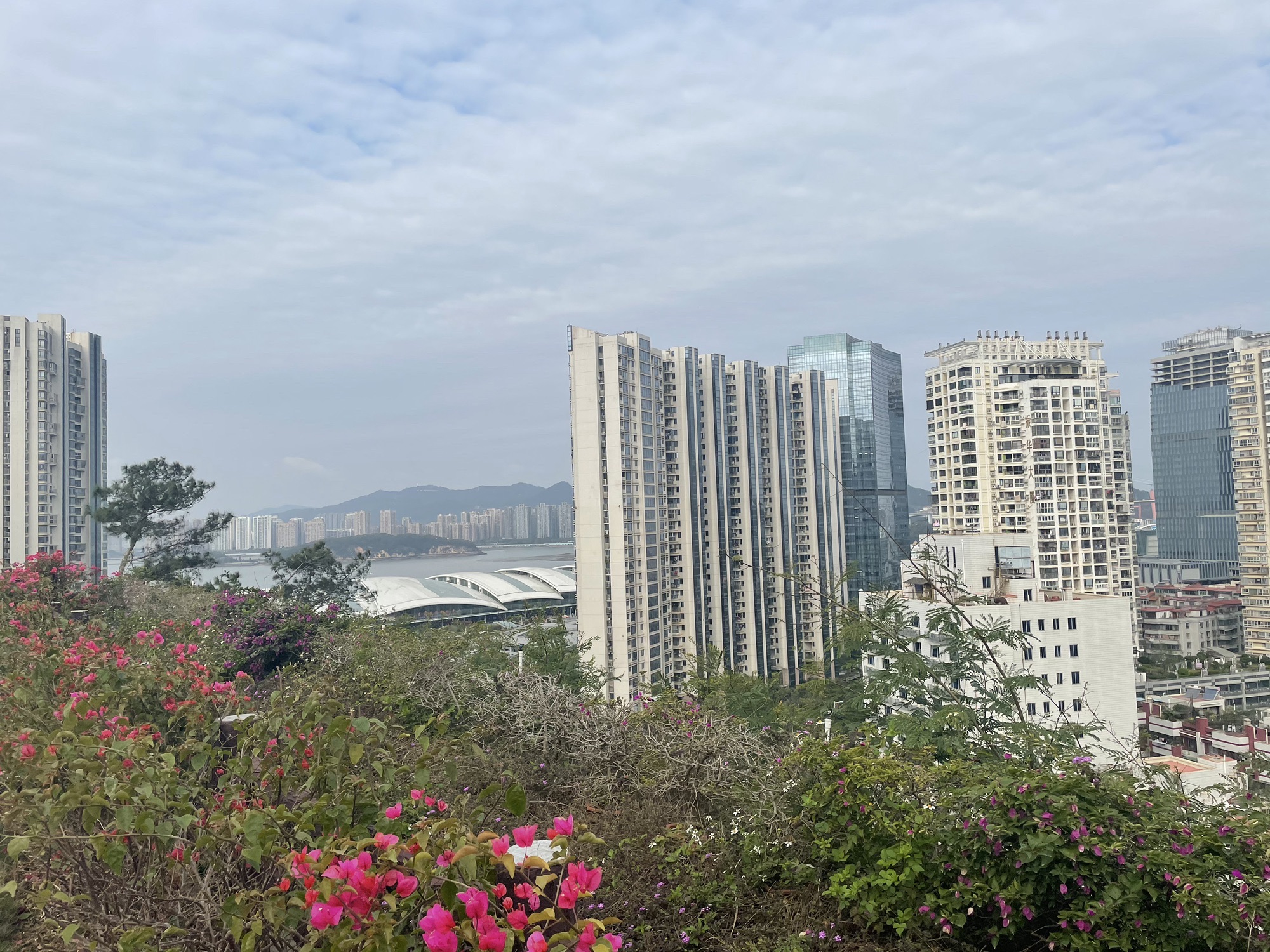 狐尾山公园旅行图片 1