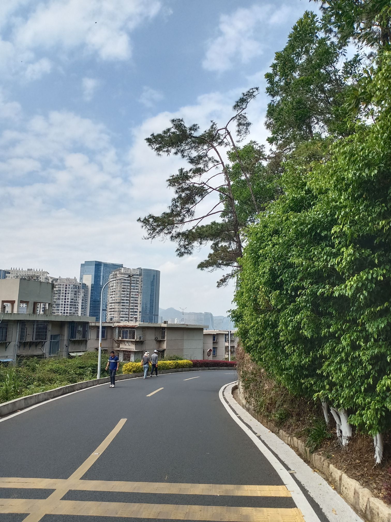 狐尾山公园旅行图片 1