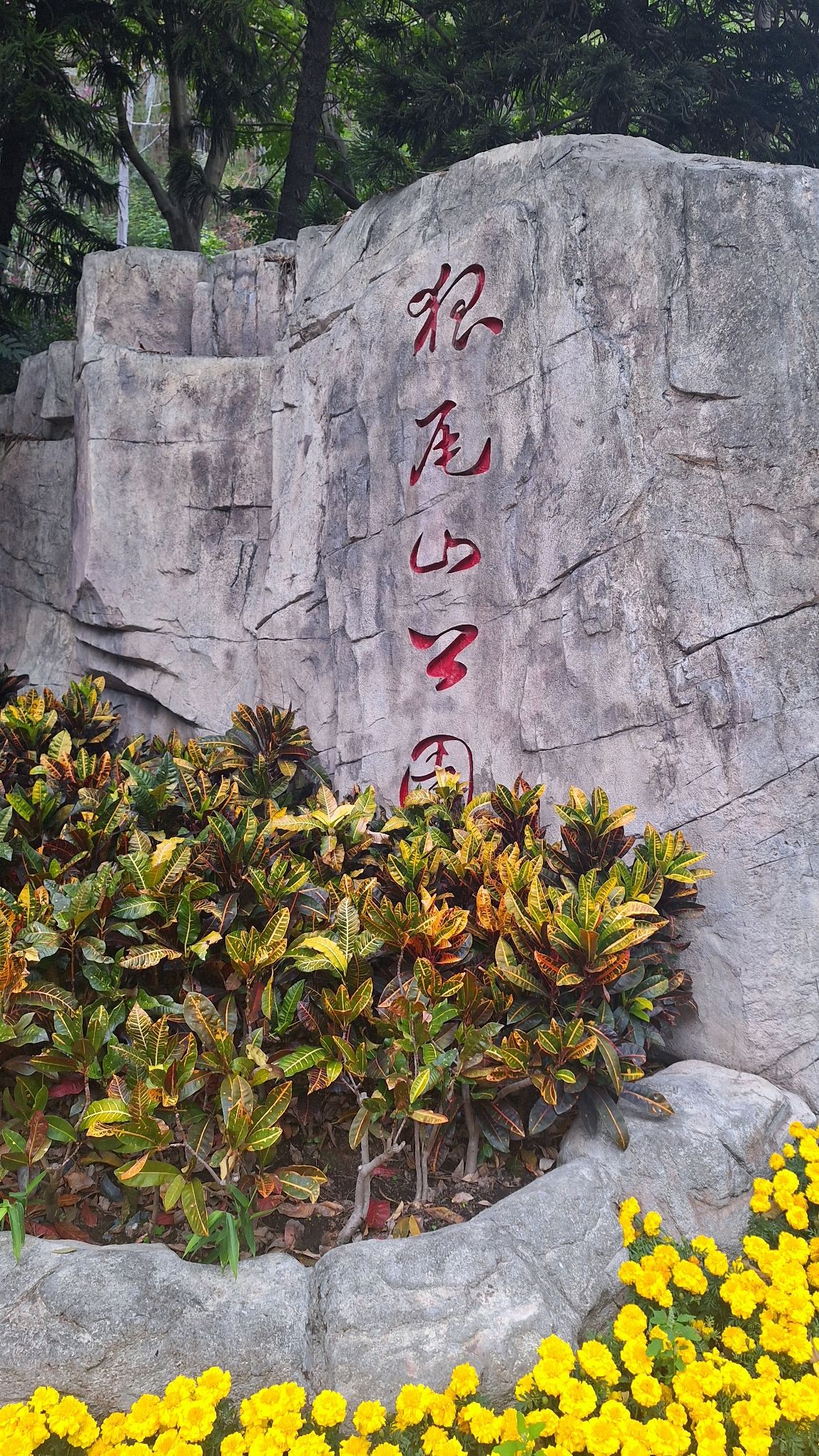 狐尾山公园旅行图片 1