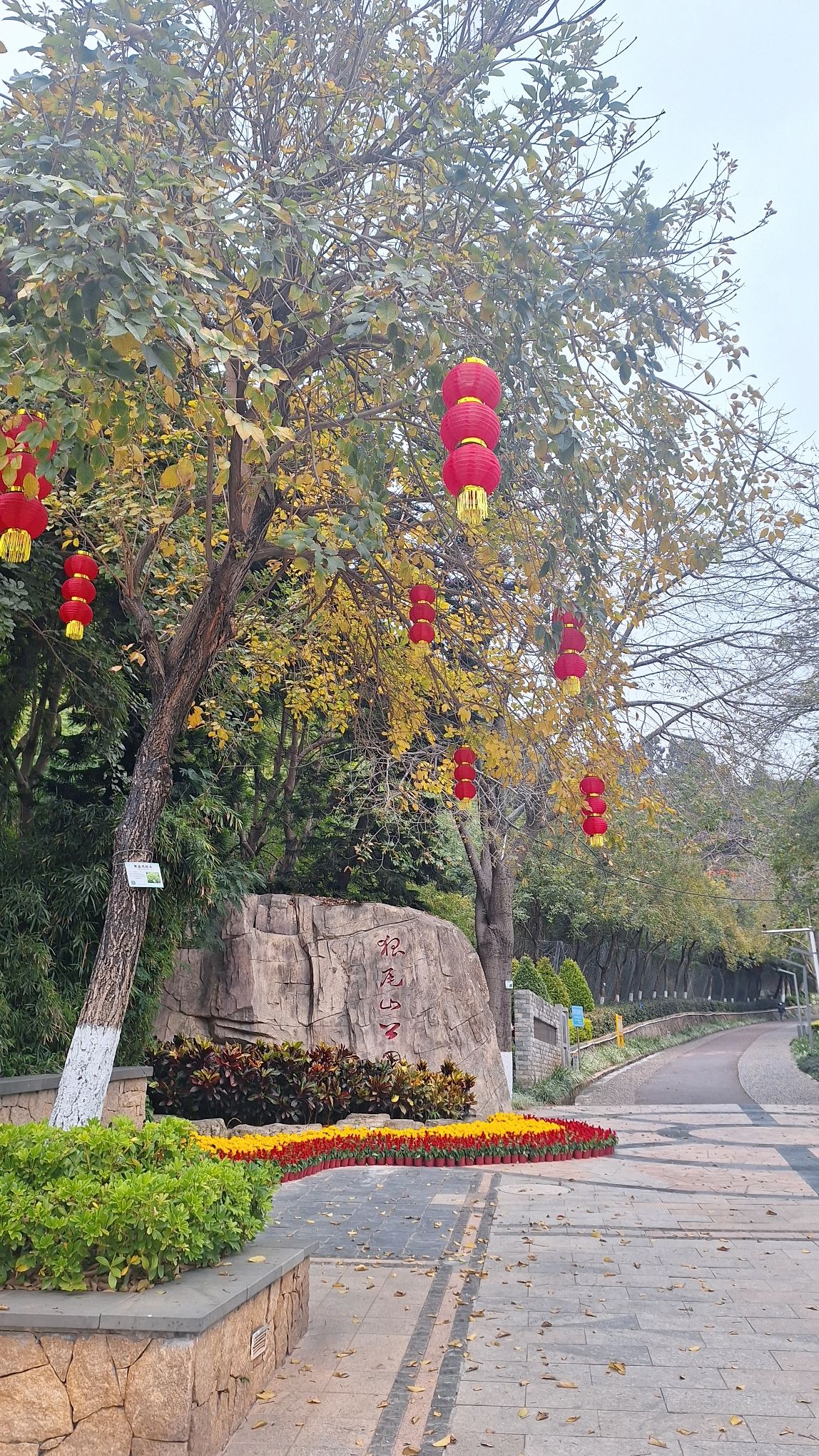 狐尾山公园旅行图片 2
