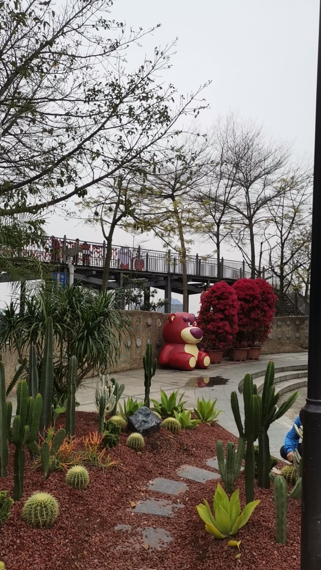 狐尾山公园旅行图片 2