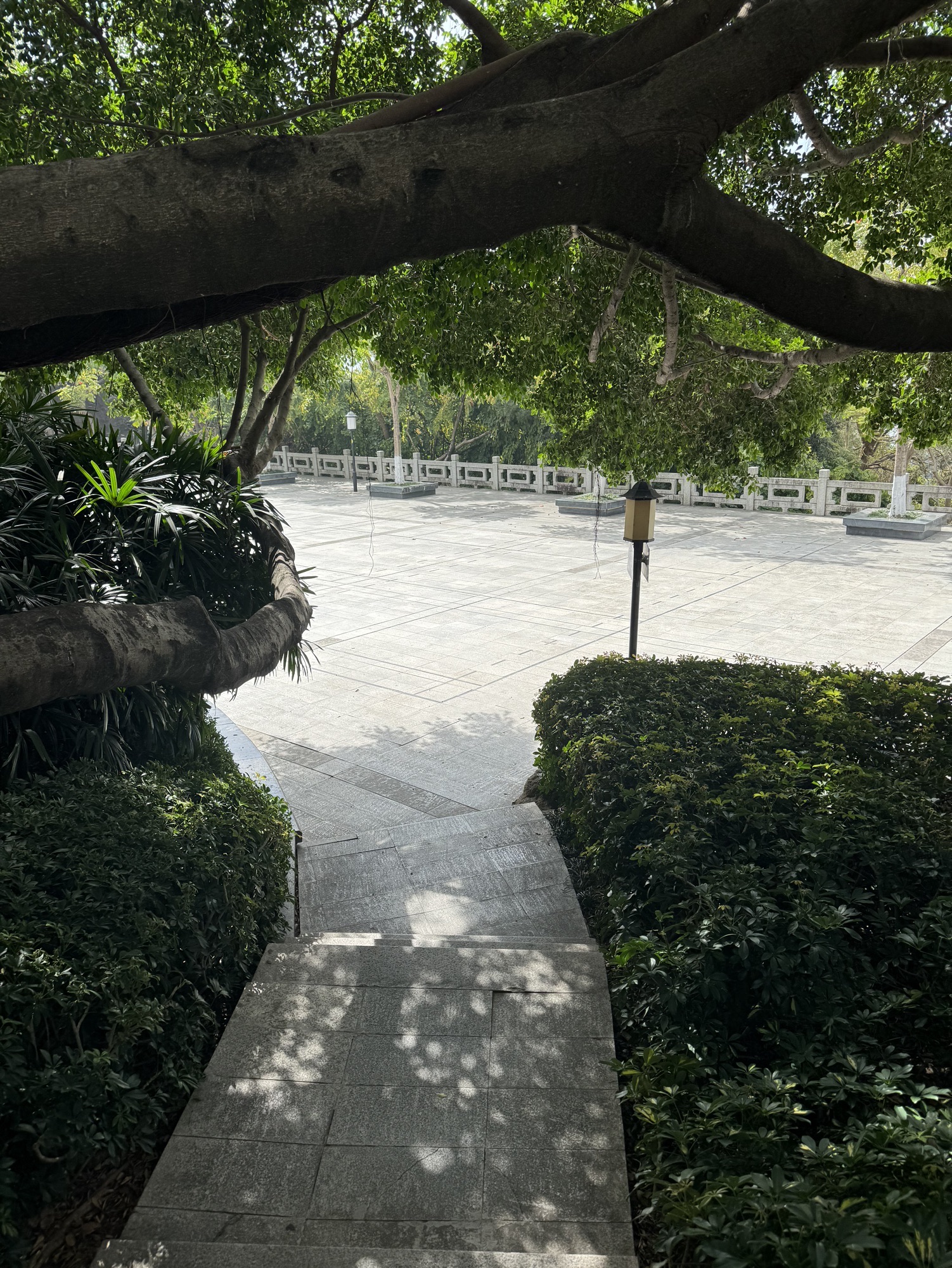 鸿山公园旅行图片 1