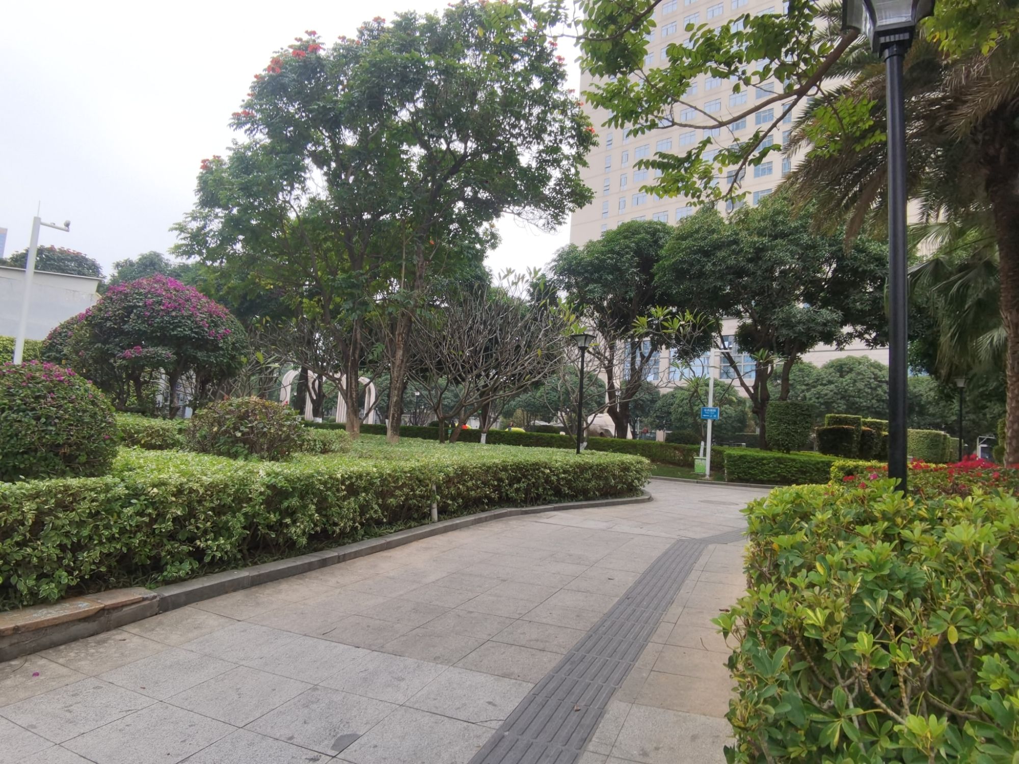 嘉禾园旅行图片 1