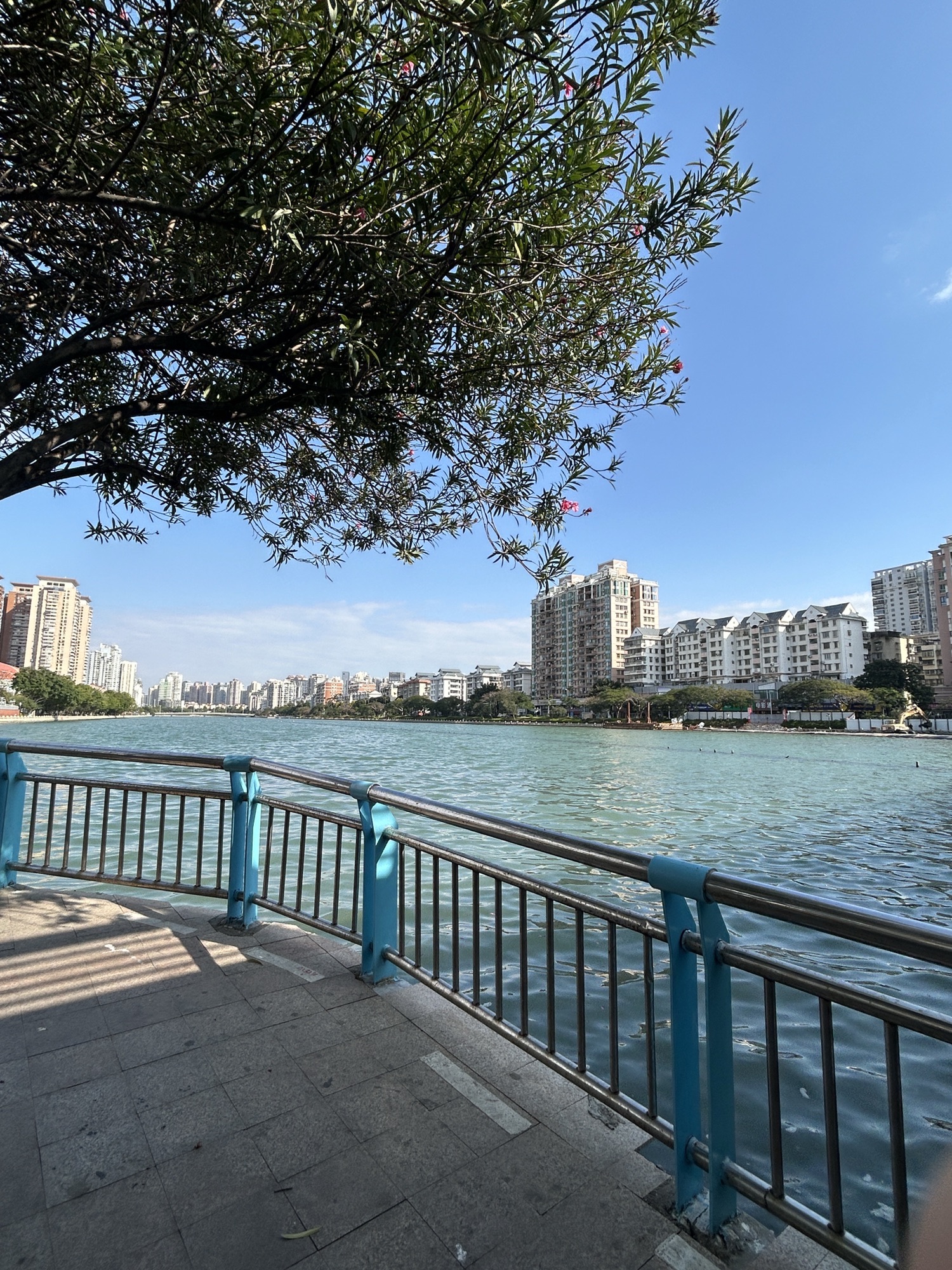 南湖公园旅行图片 2