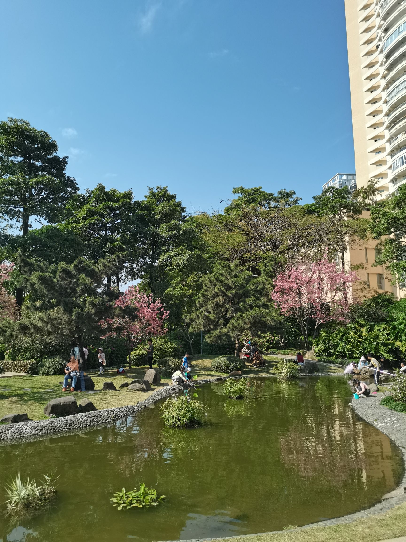南湖公园旅行图片 2