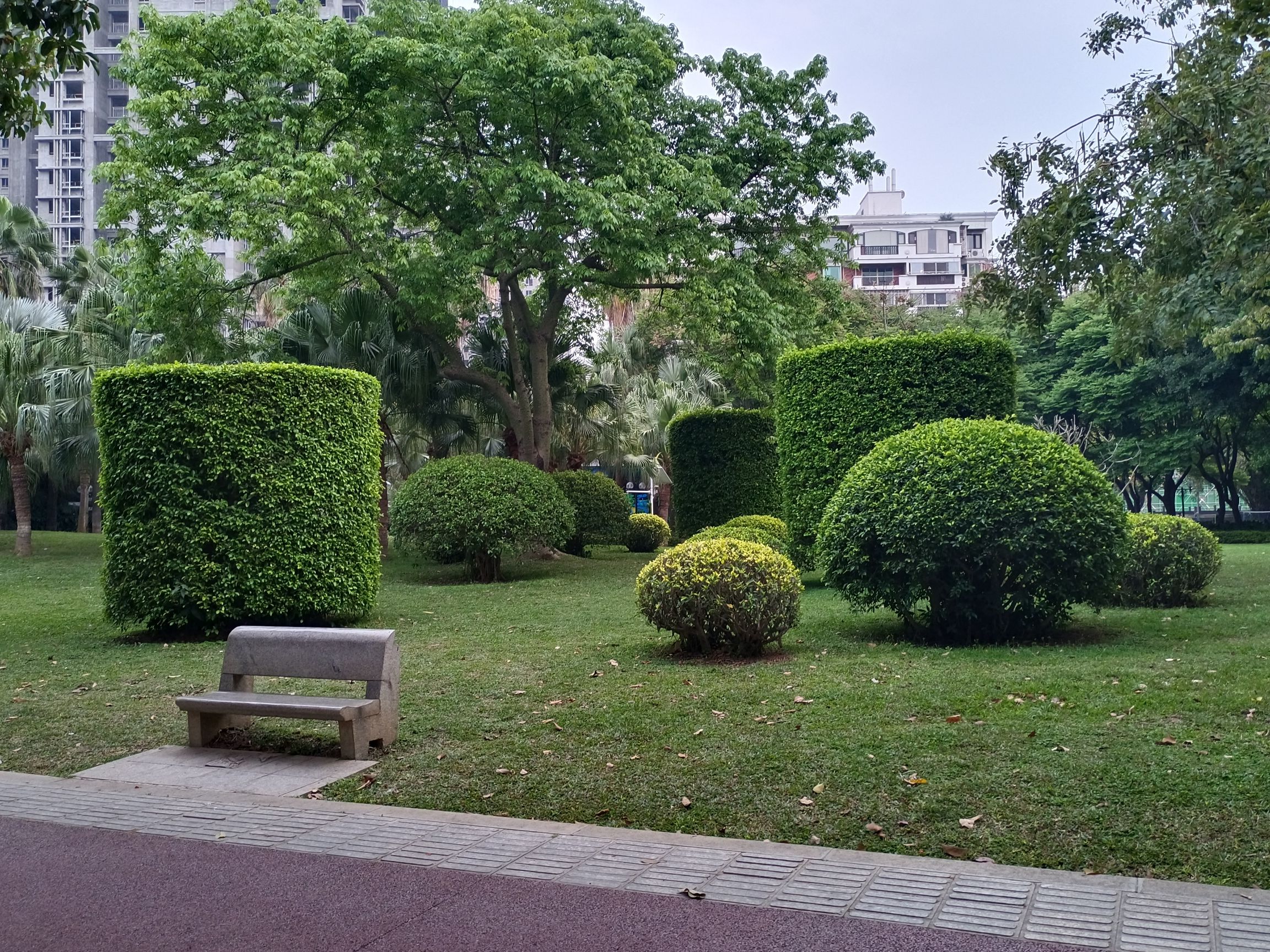 南湖公园旅行图片 1