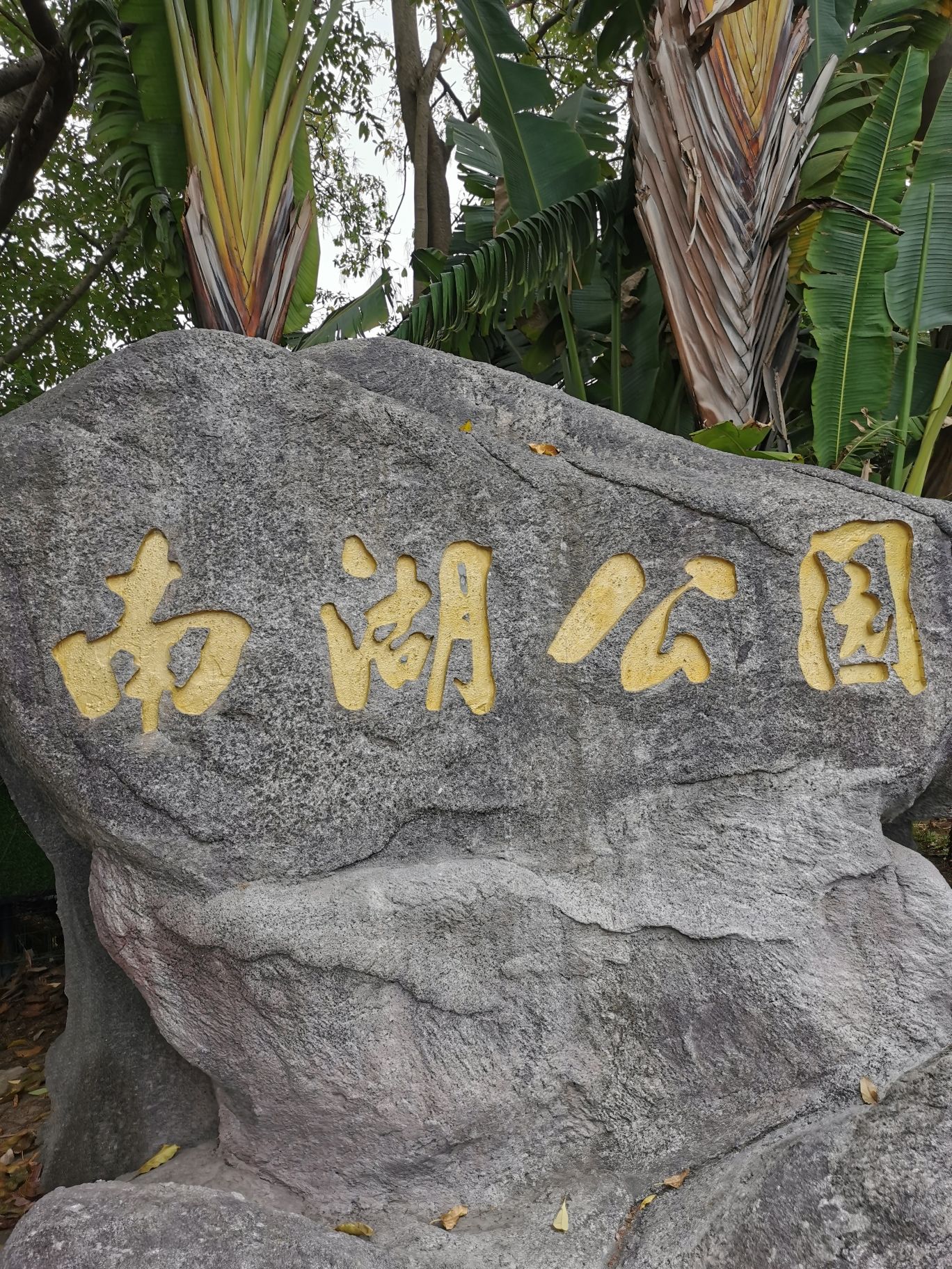 南湖公园旅行图片 2