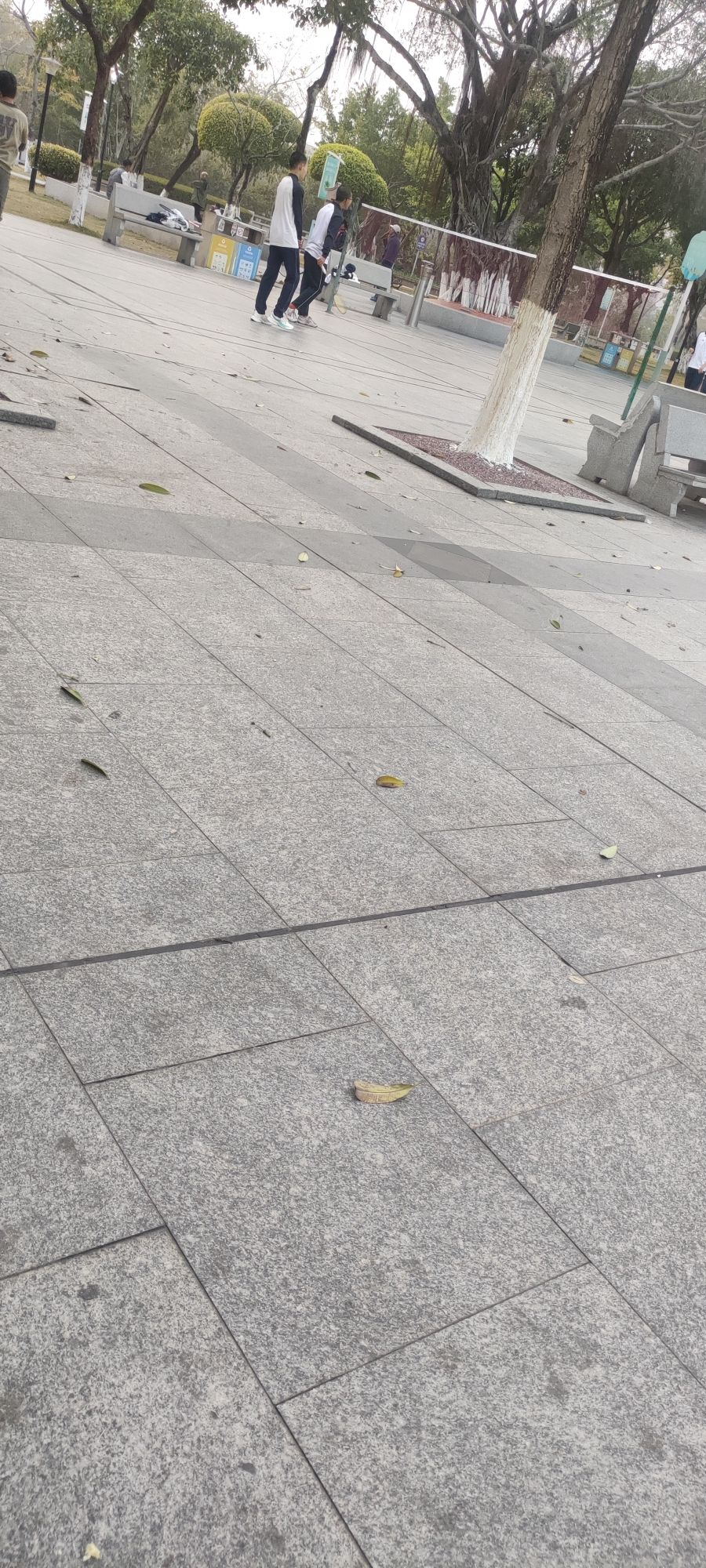 日东公园旅行图片 2