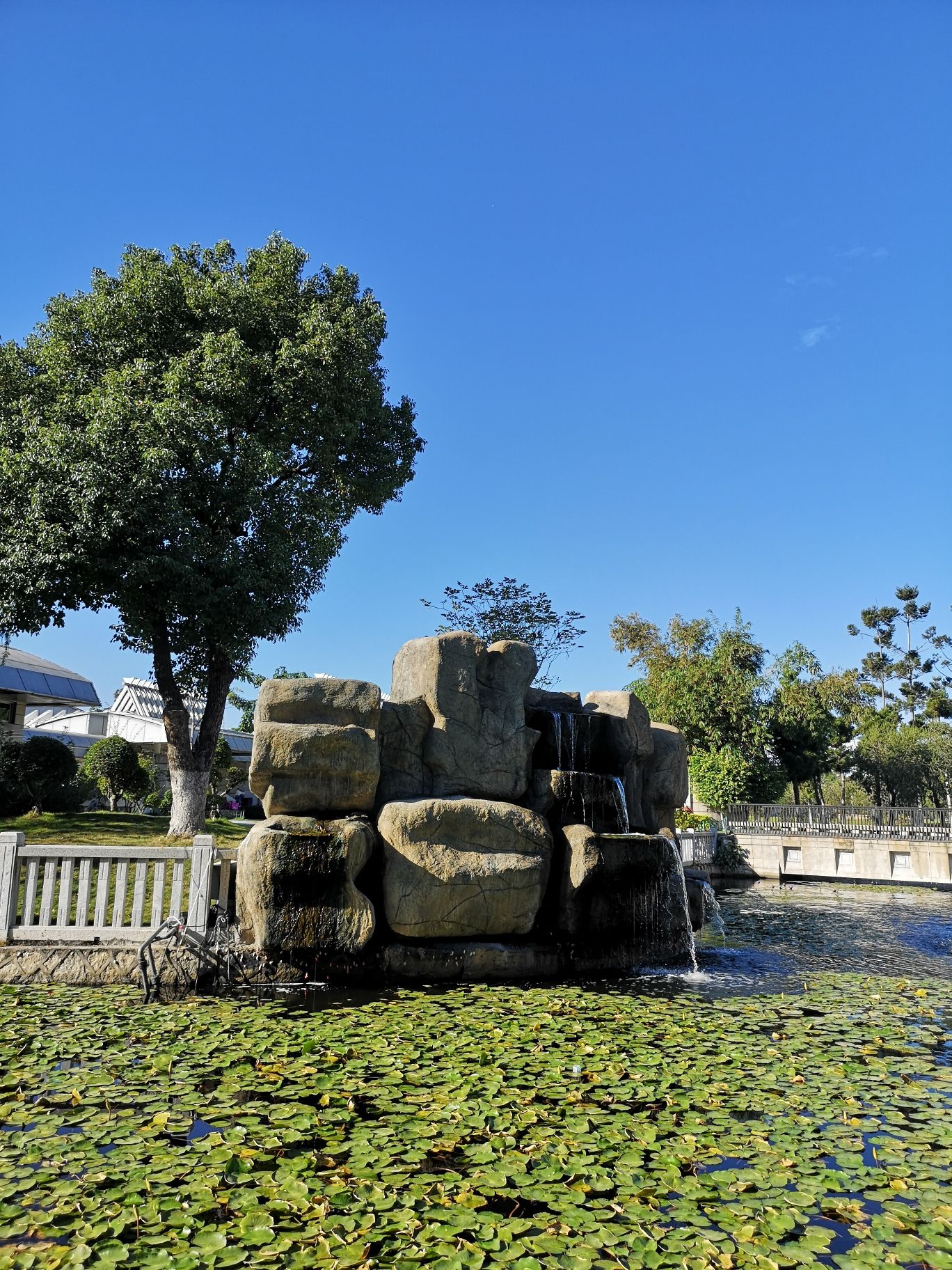 日东公园旅行图片 1