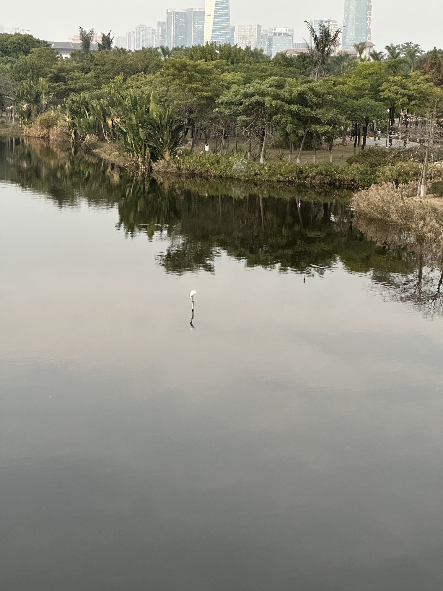 厦门园林博览苑旅行图片 3
