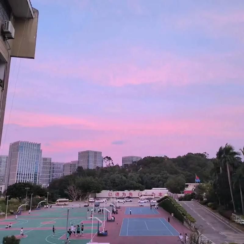 厦门兴才职业技术学院