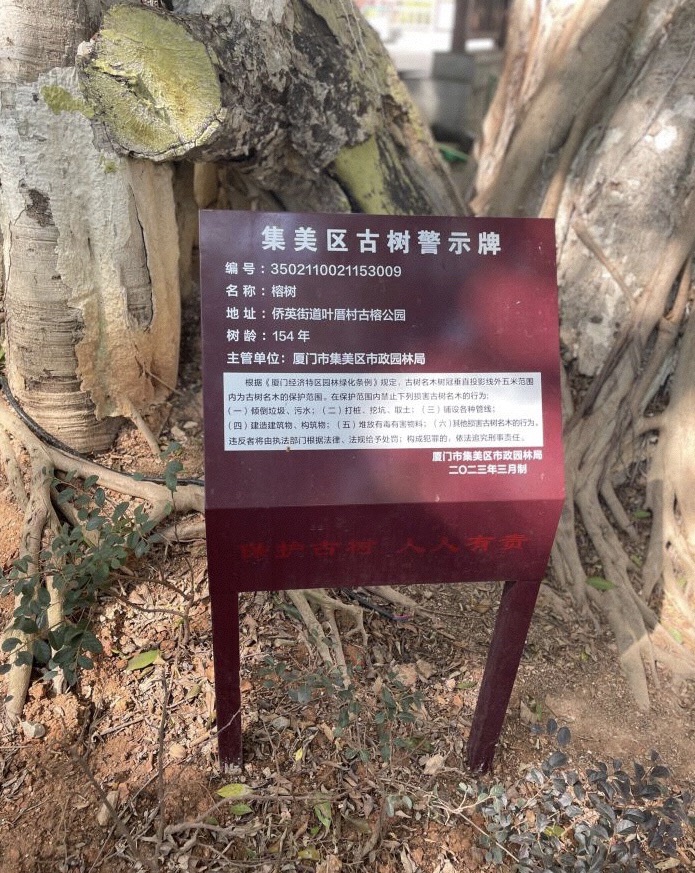 古榕公园旅行图片 1