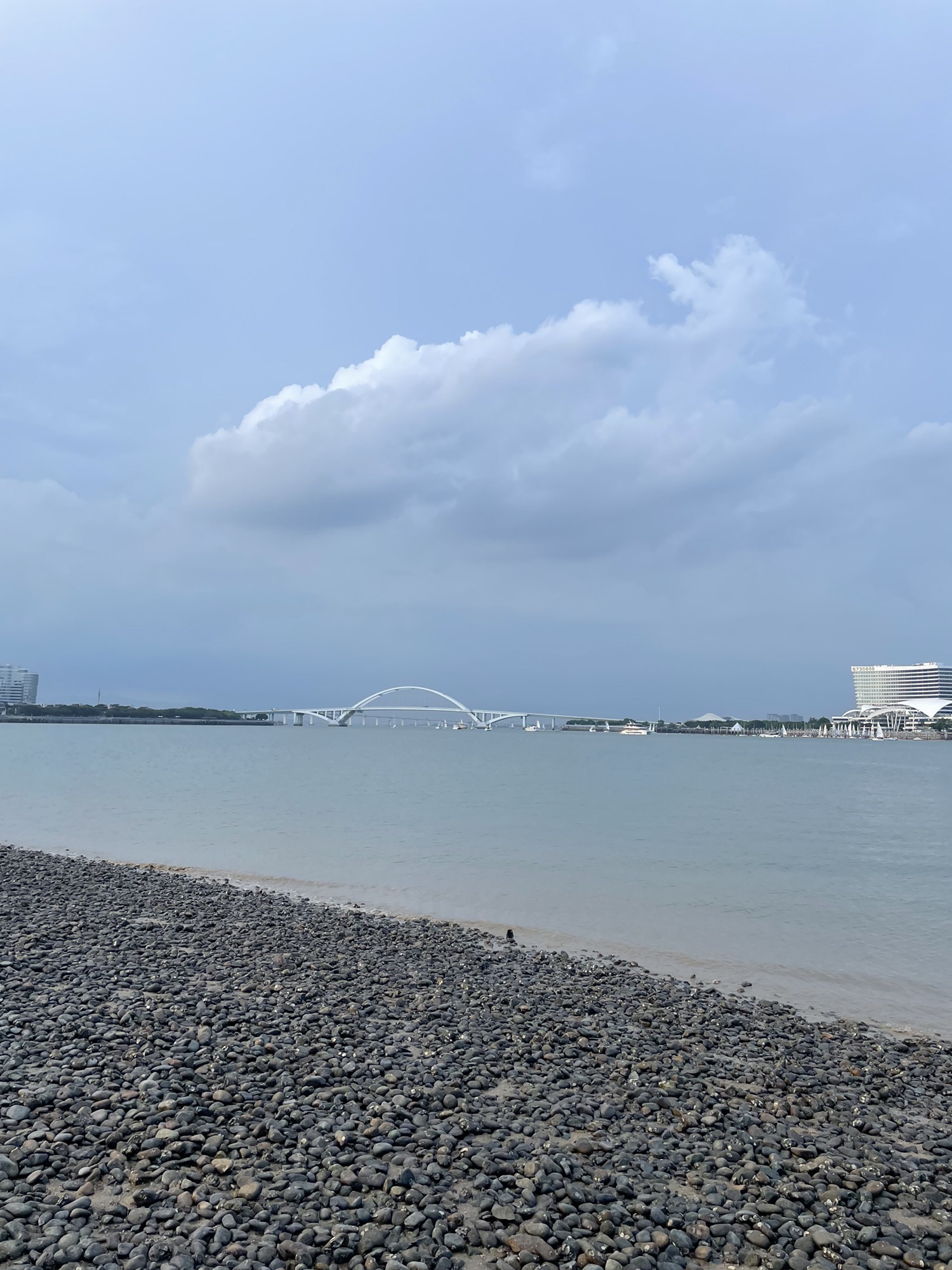 五缘湾湿地公园旅行图片 1