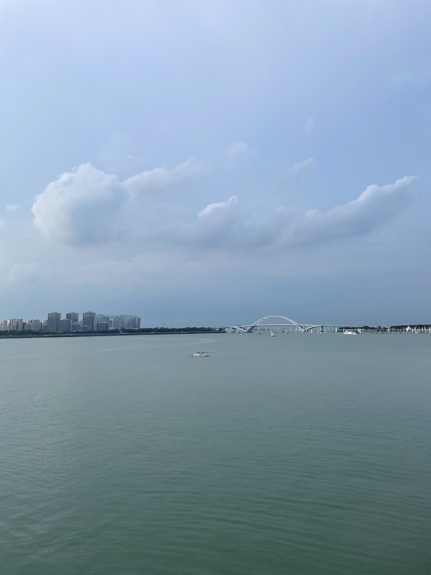 五缘湾湿地公园旅行图片 3