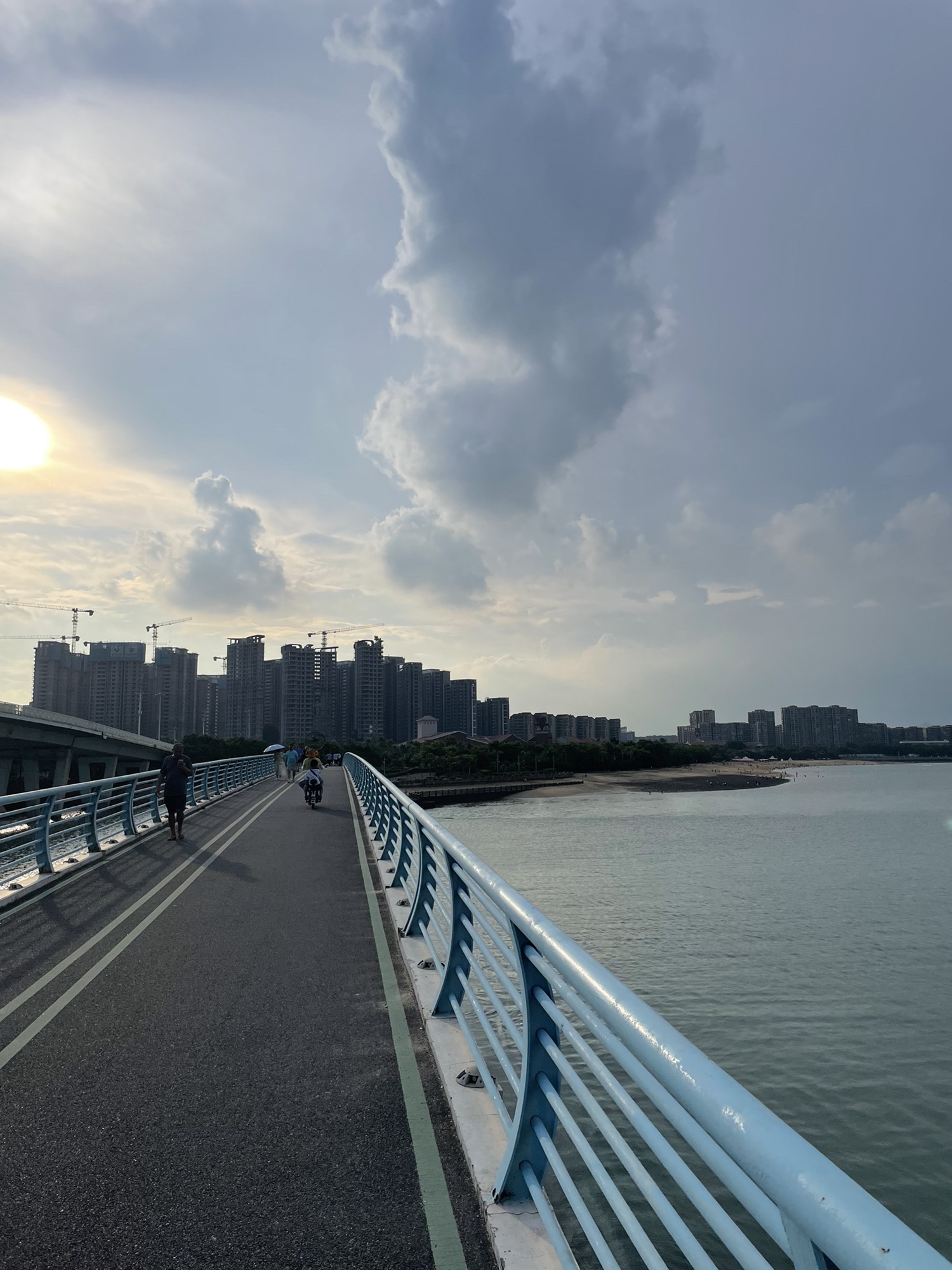 五缘湾湿地公园旅行图片 2