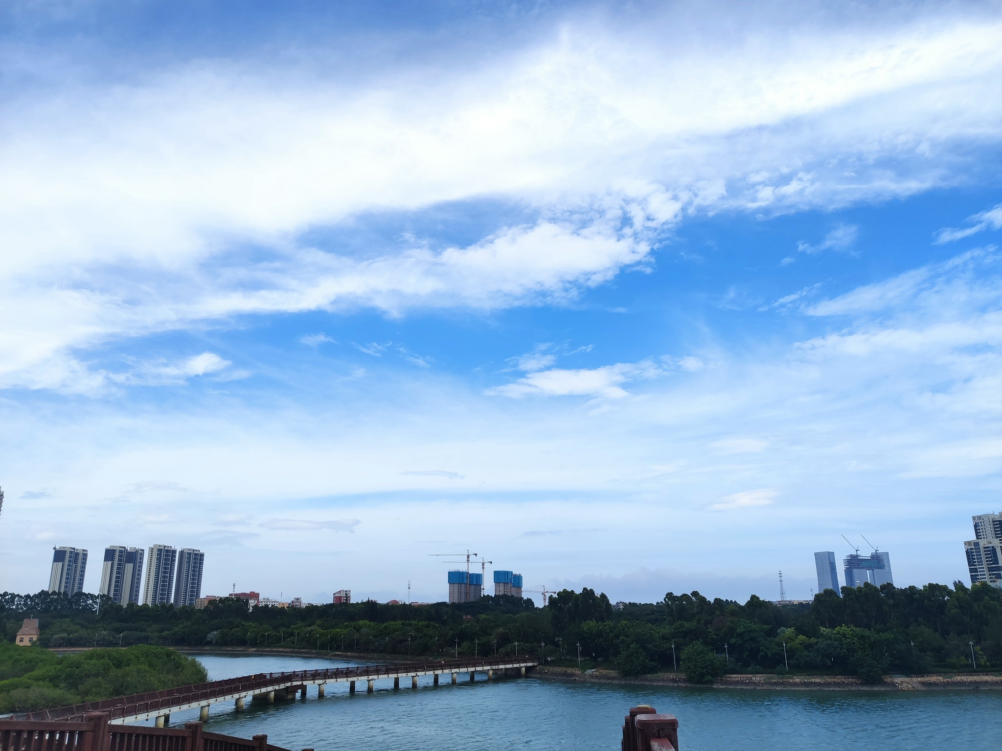 五缘湾湿地公园旅行图片 3