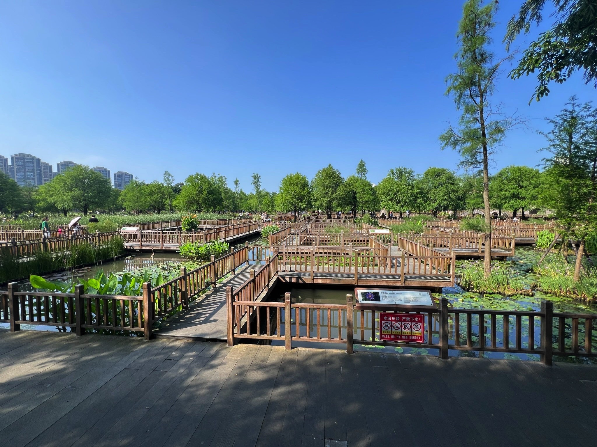 五缘湾湿地公园旅行图片 1