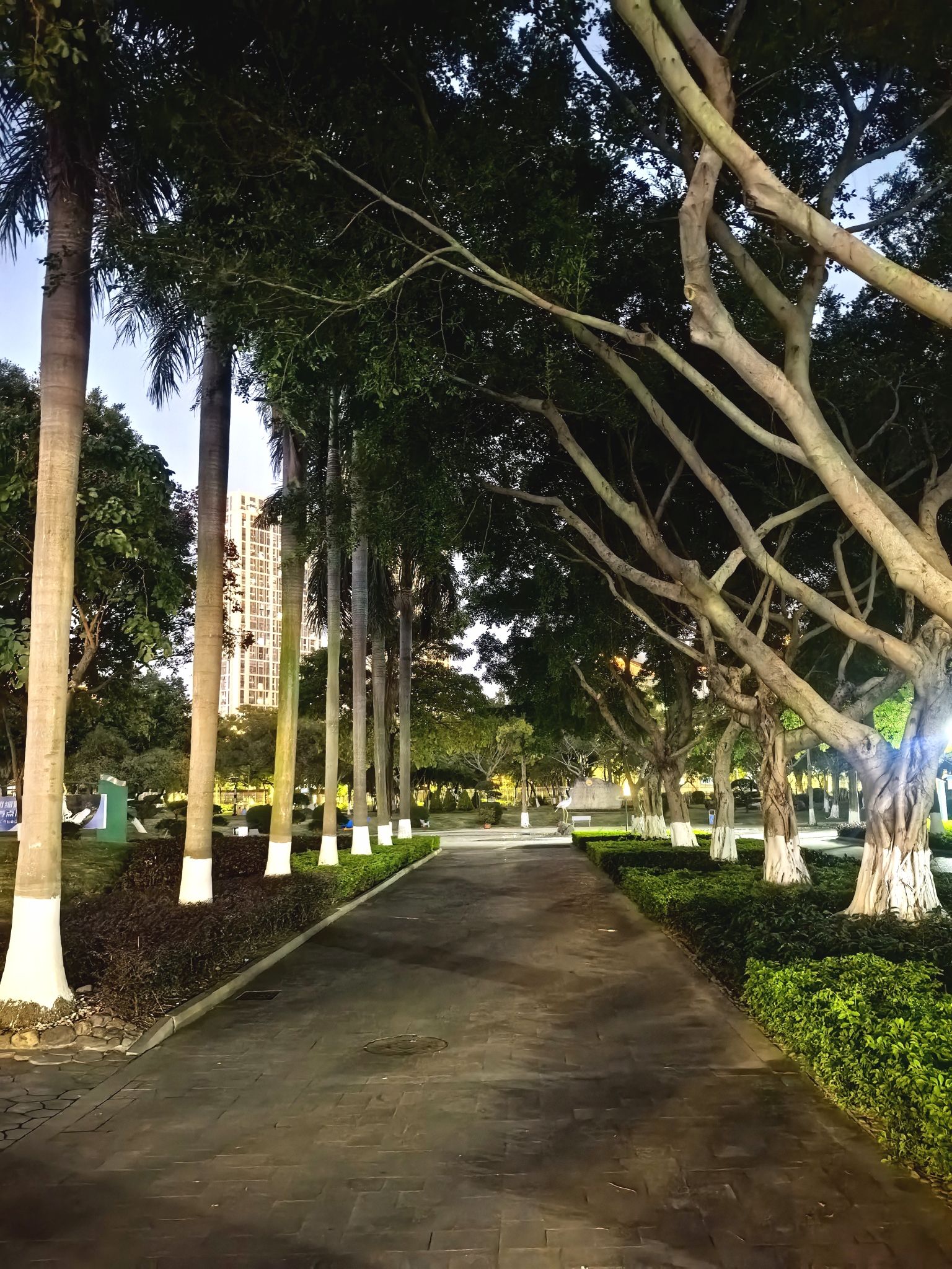 劳动公园旅行图片 2
