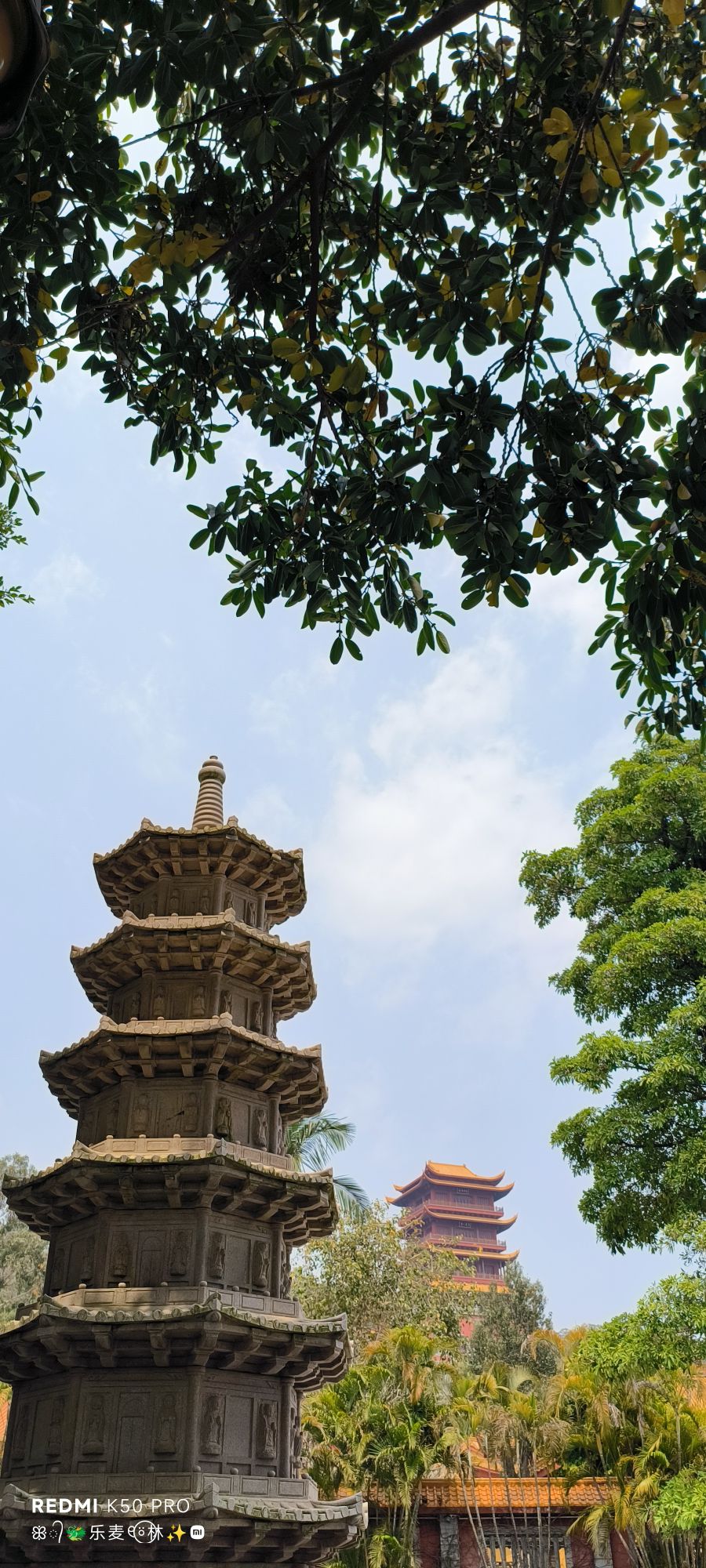 大轮山公园旅行图片 2