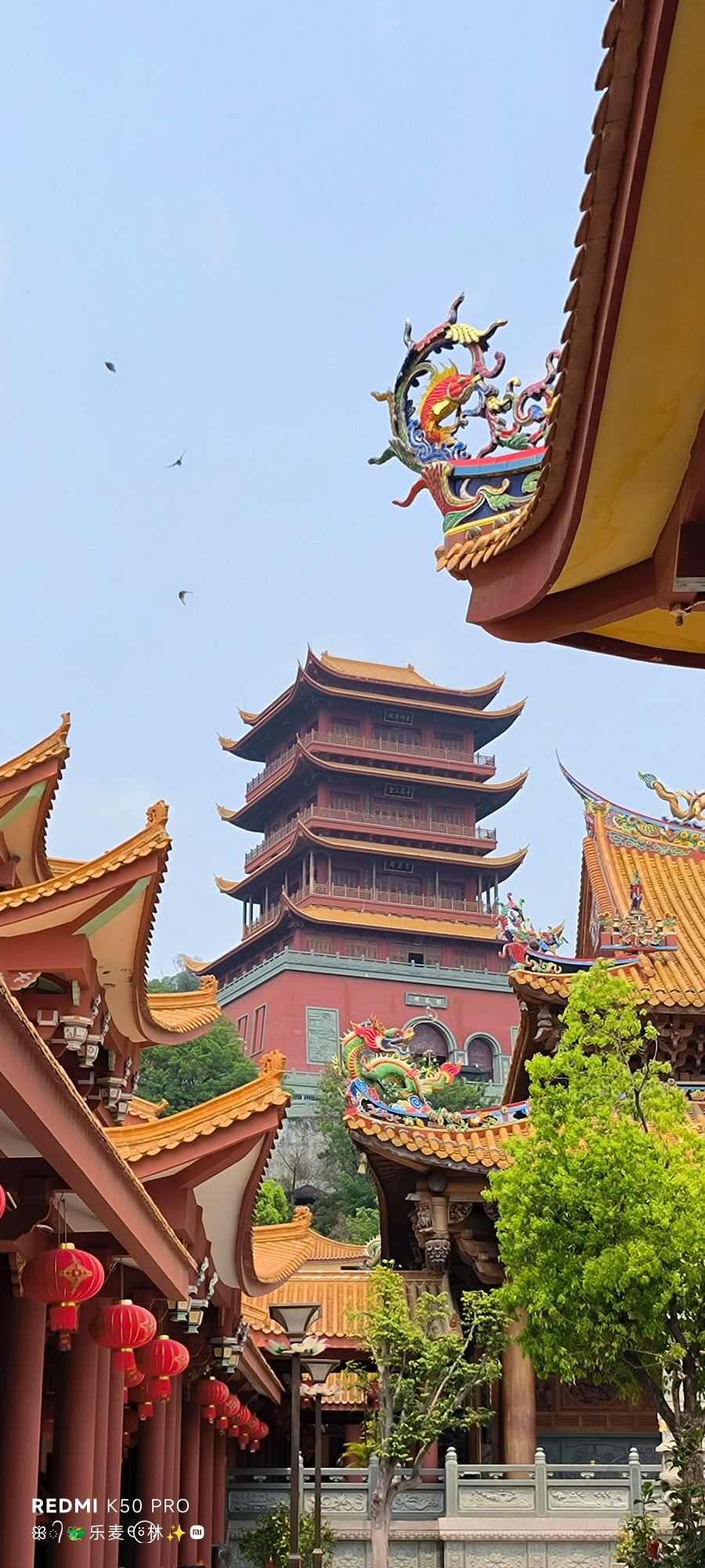 大轮山公园旅行图片 1