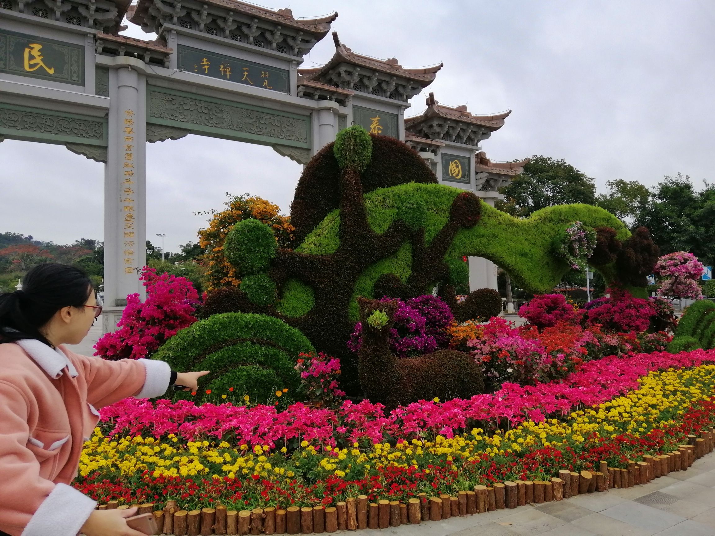大轮山公园旅行图片 3