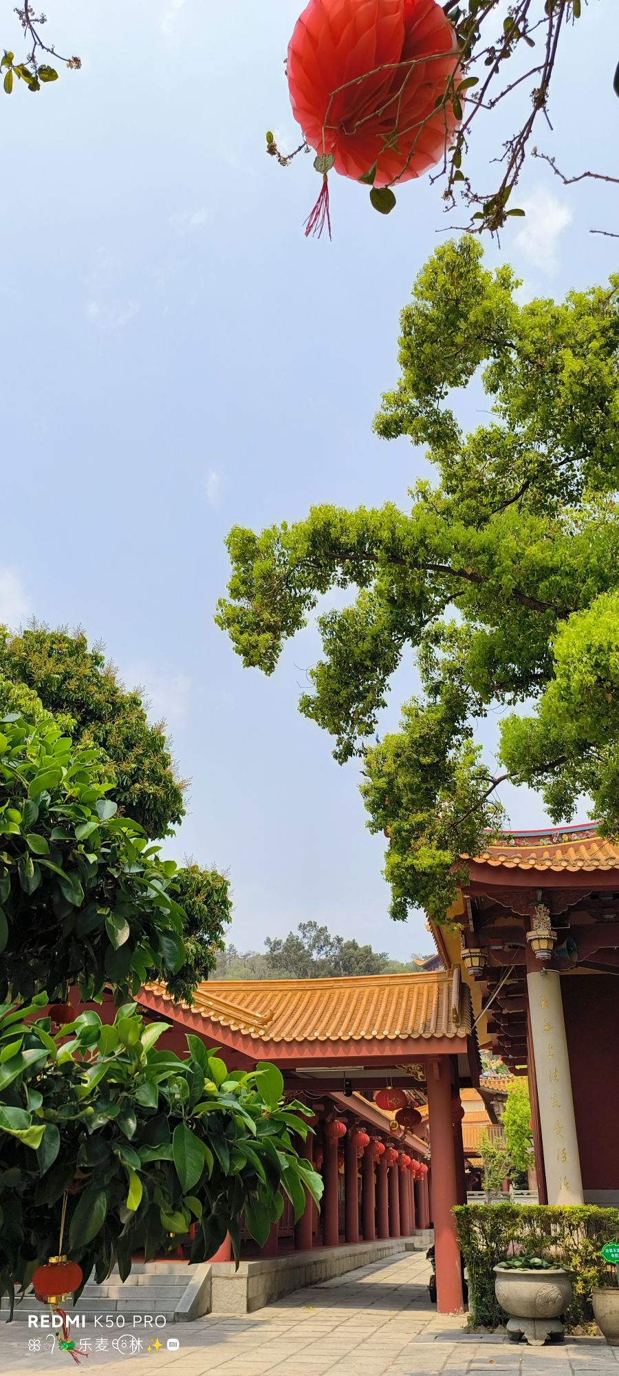 大轮山公园旅行图片 3