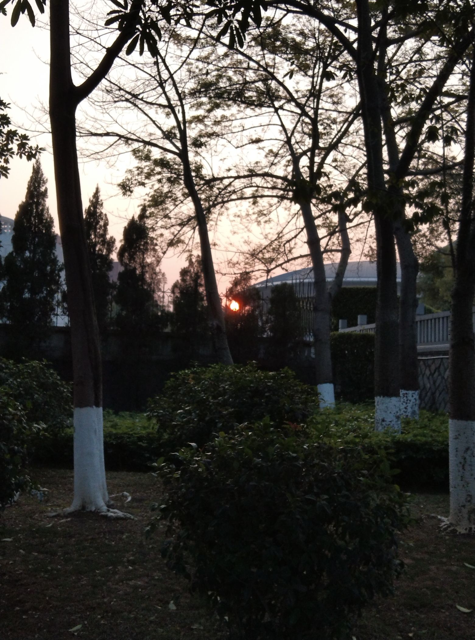 大轮山公园旅行图片 1